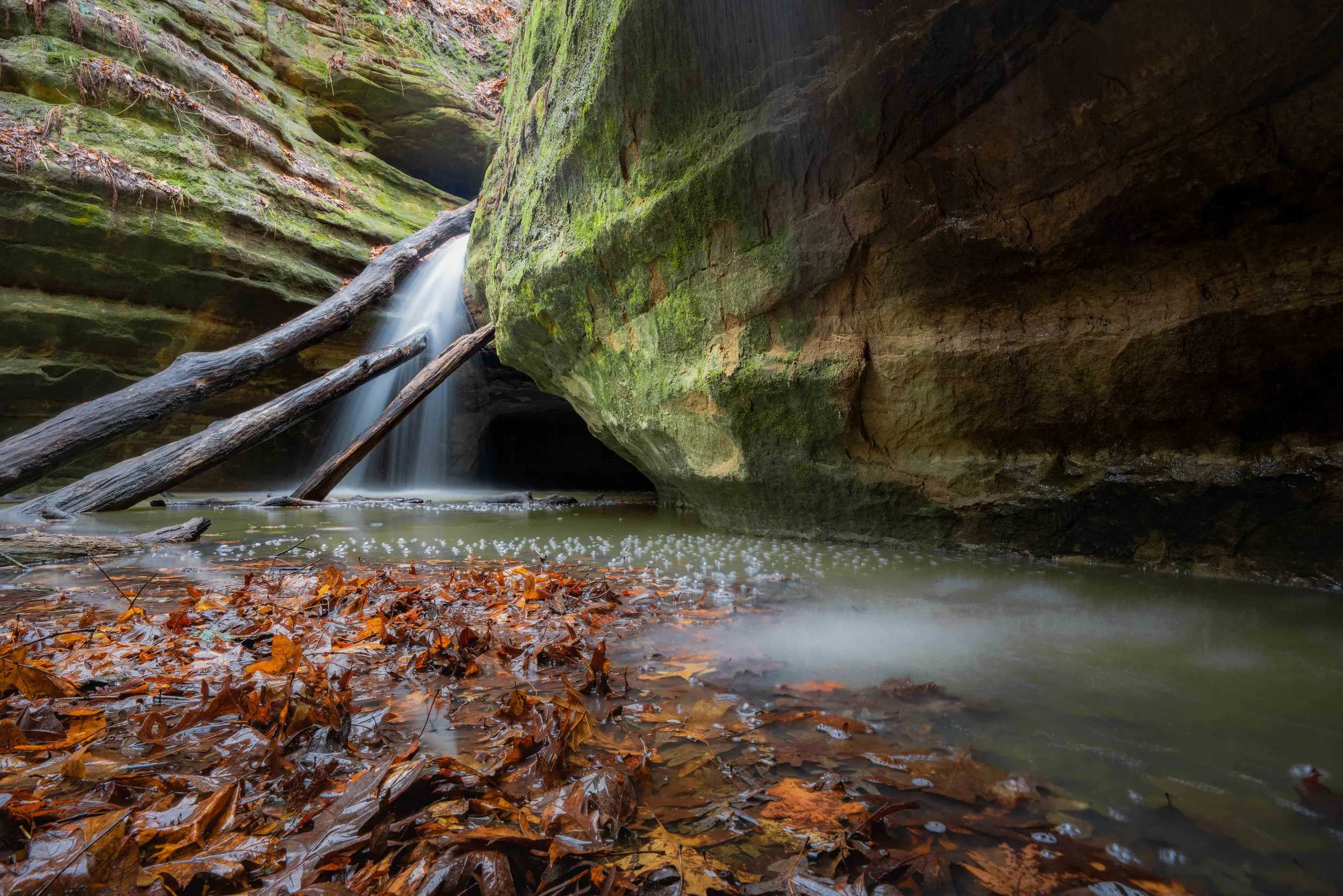  Starved Rock, Spring, Summer, Kaskaskia Canyon 