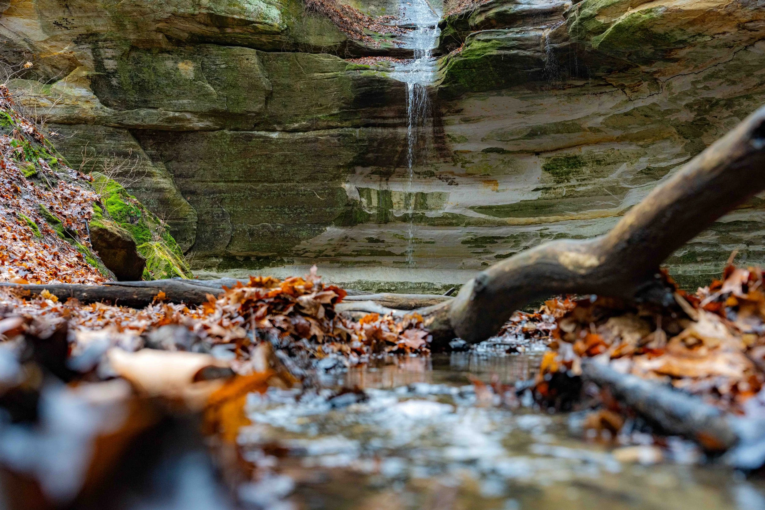  Starved Rock, Spring, Summer, Fall, Ottawa Canyon 