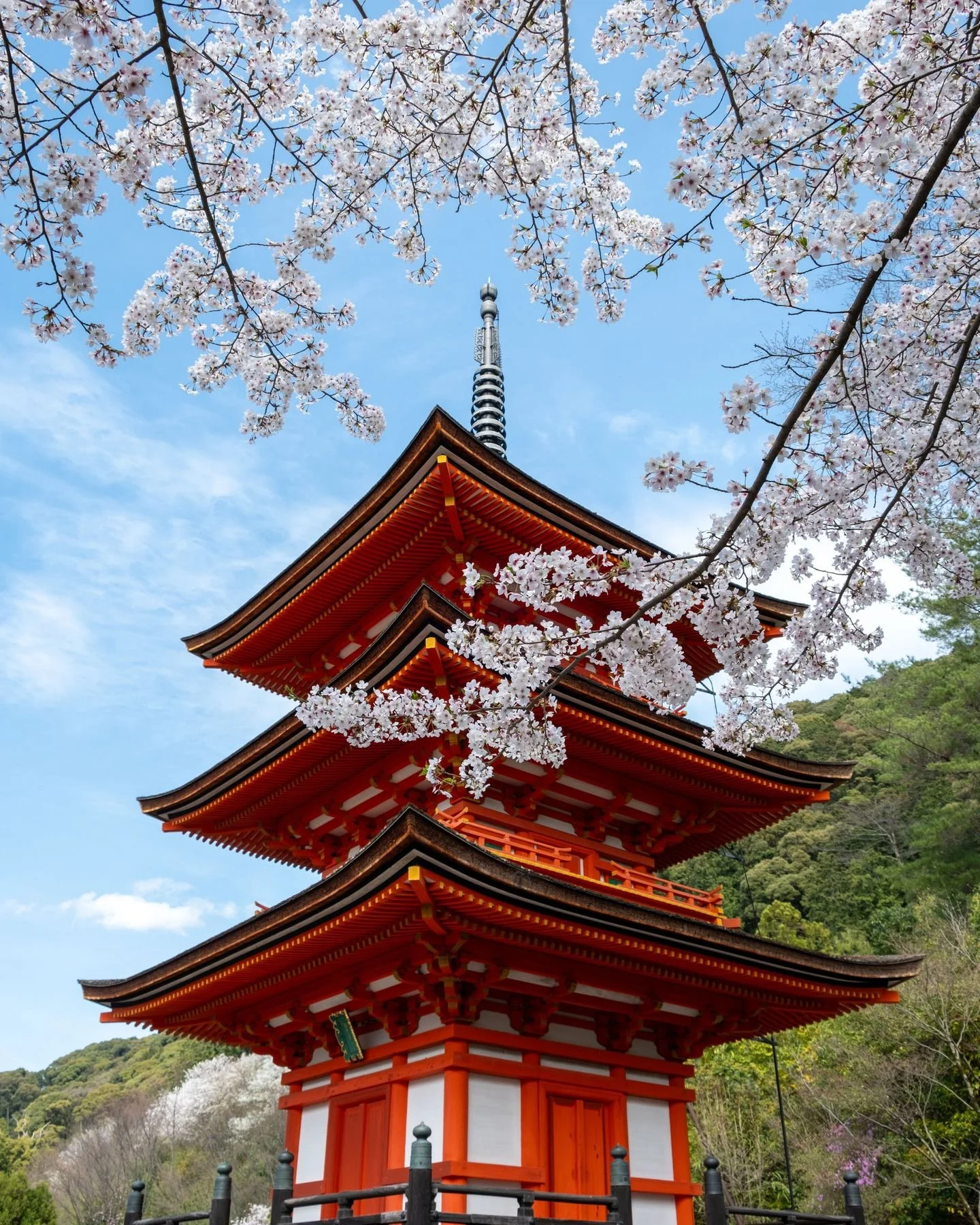 The cherry trees are starting to bloom 🌸

Did you know? Breizh Café originated in Japan. In 1996, Bertrand Larcher, a passionate young Breton, opened his first Breton crêperie in Tokyo. 
For 10 years, he