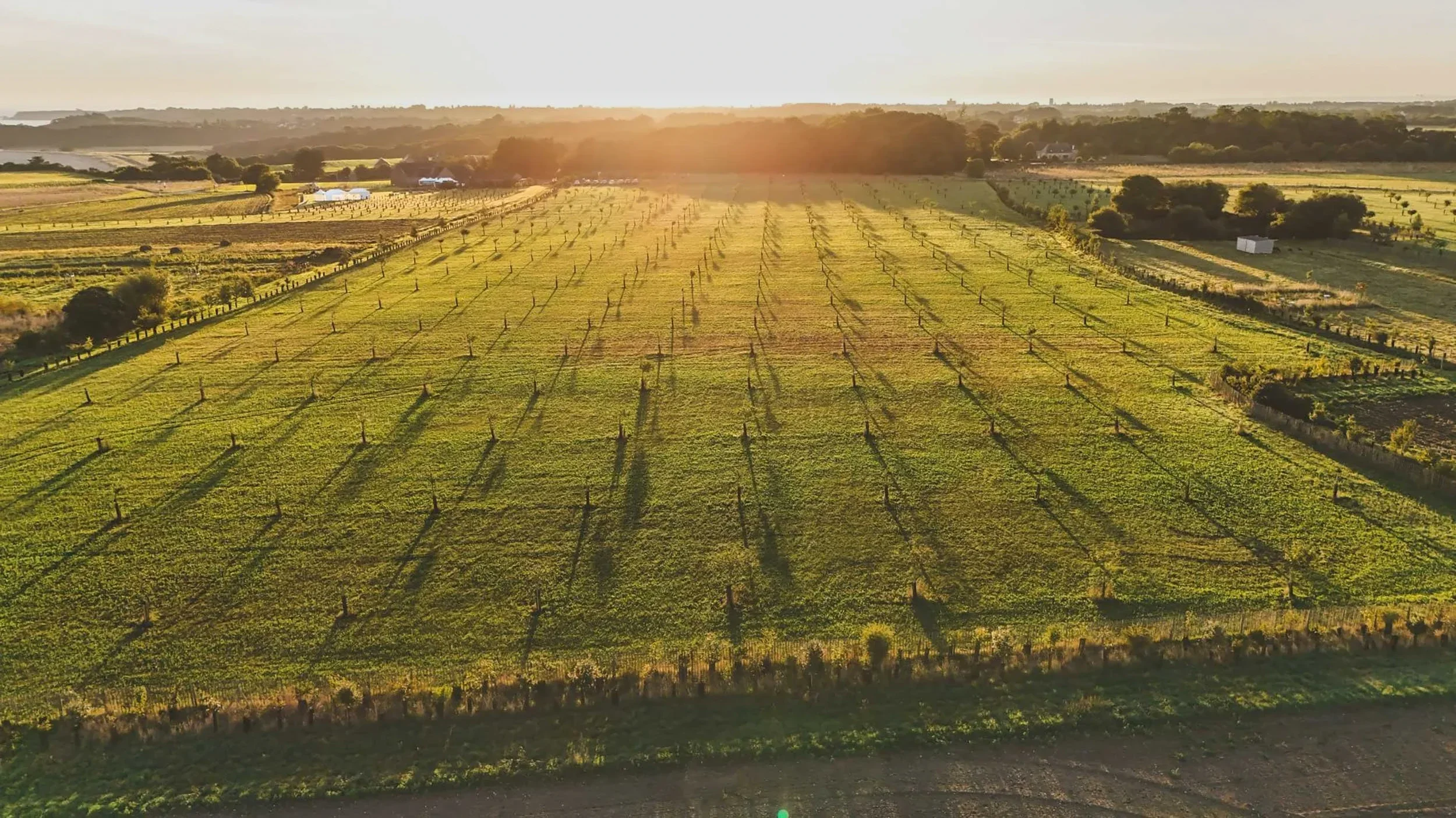 LA FERME BREIZH CAFÉ
