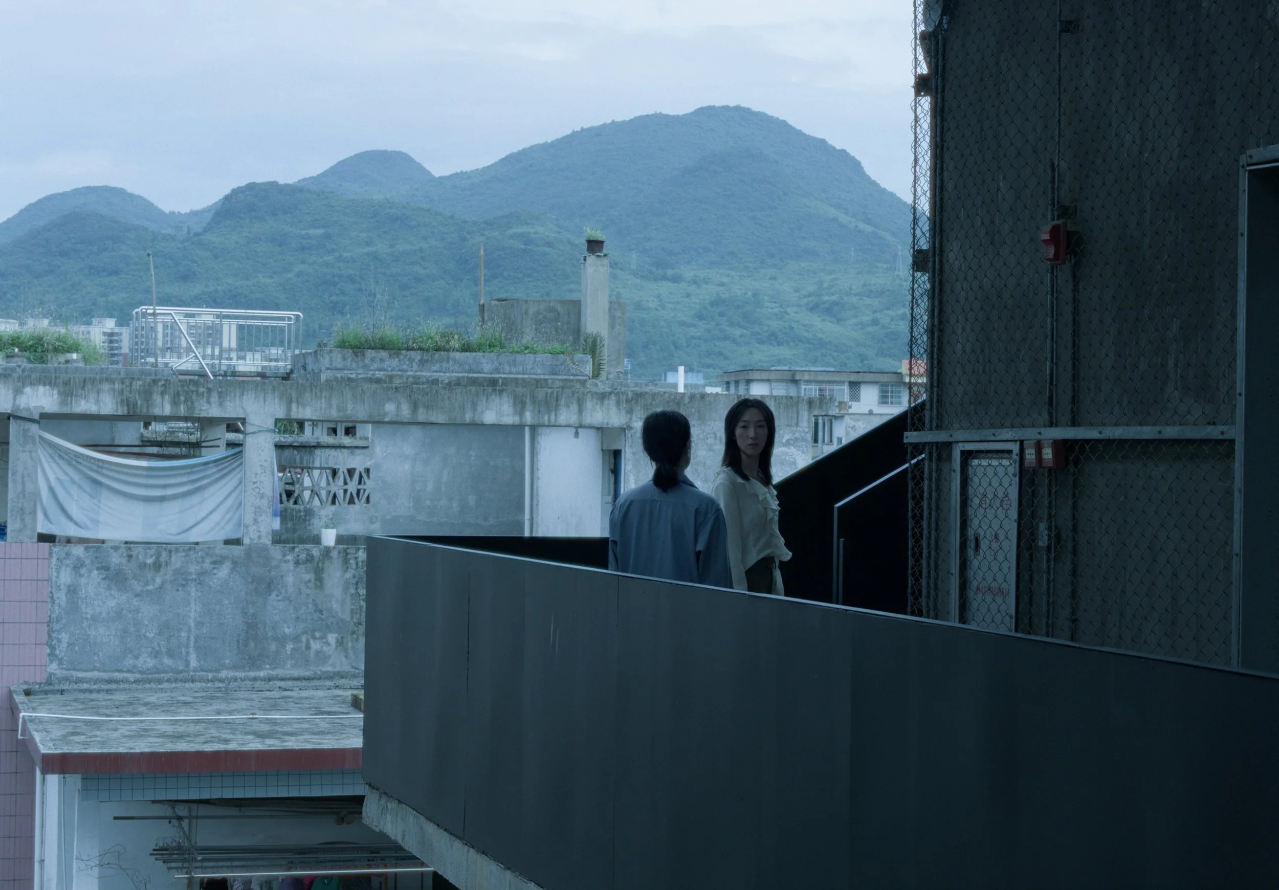 Still 2025-03-30 174015_1.38.1.JPG