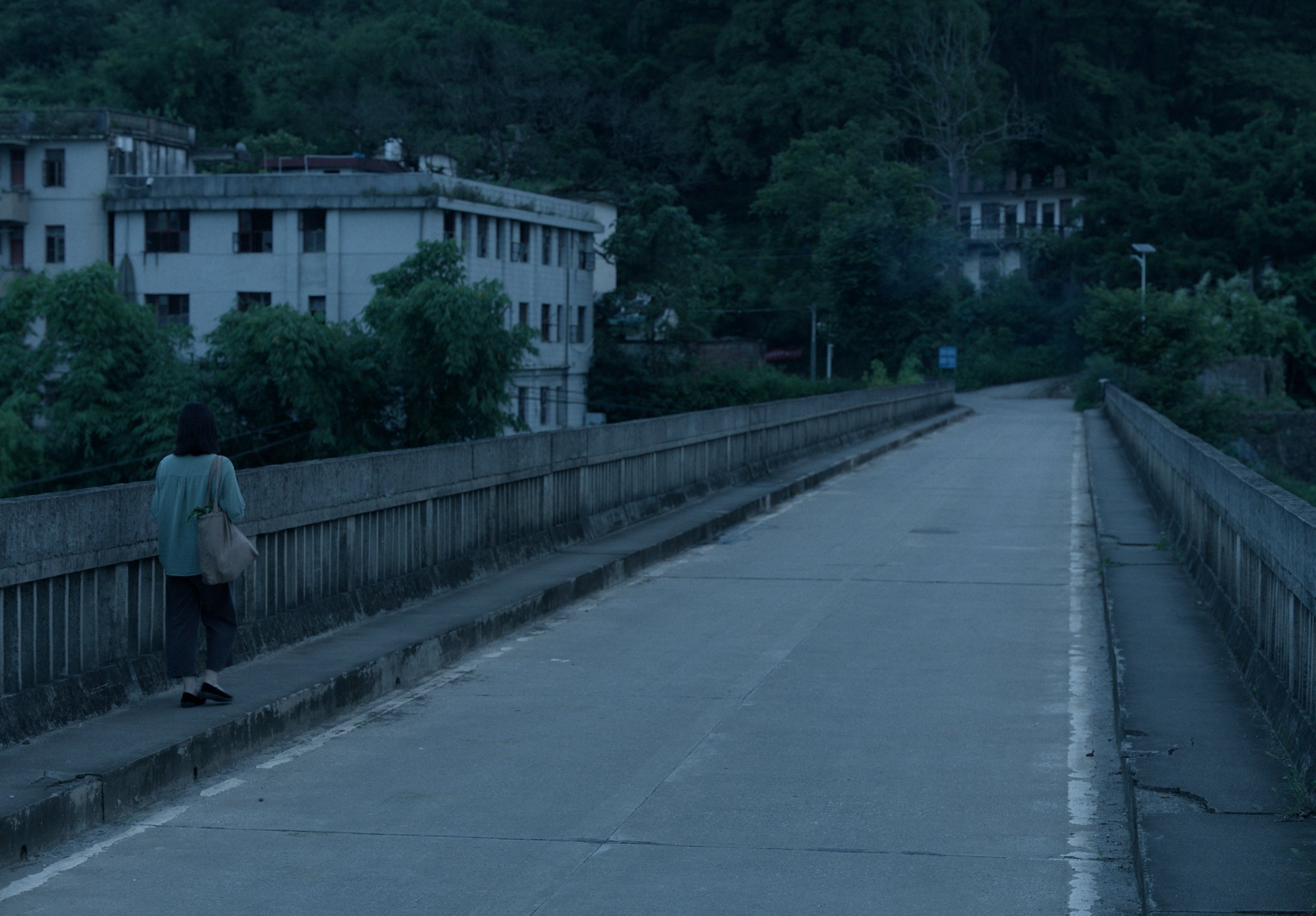 Still 2025-03-30 174015_1.28.1.JPG