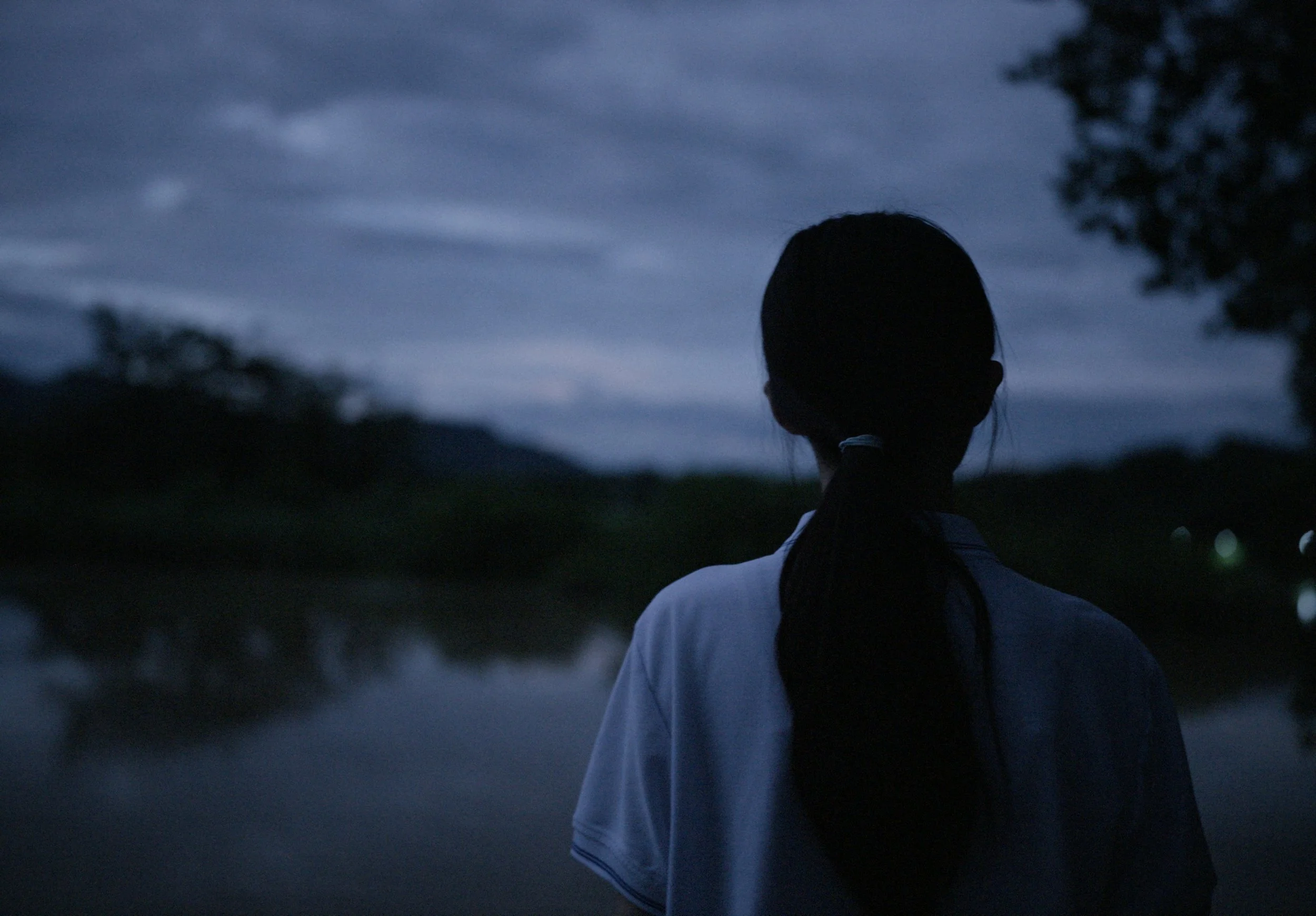 Still 2025-03-30 174015_1.55.1.JPG