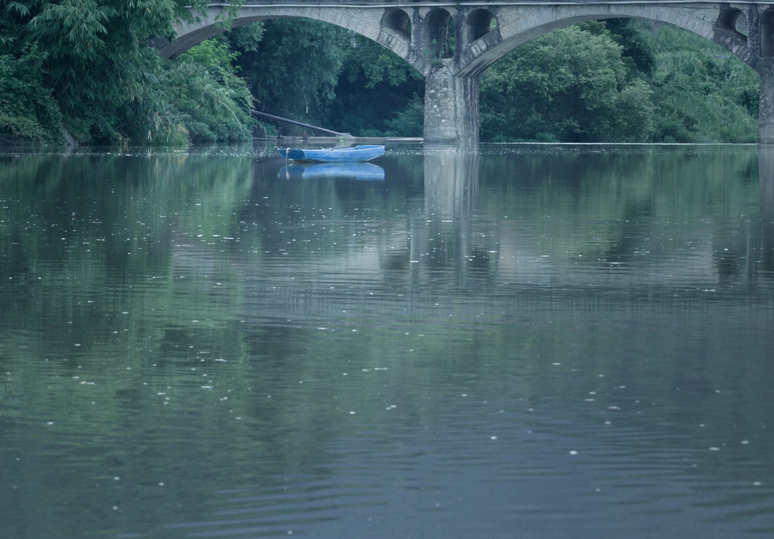 Still 2025-03-30 174015_1.69.1.JPG