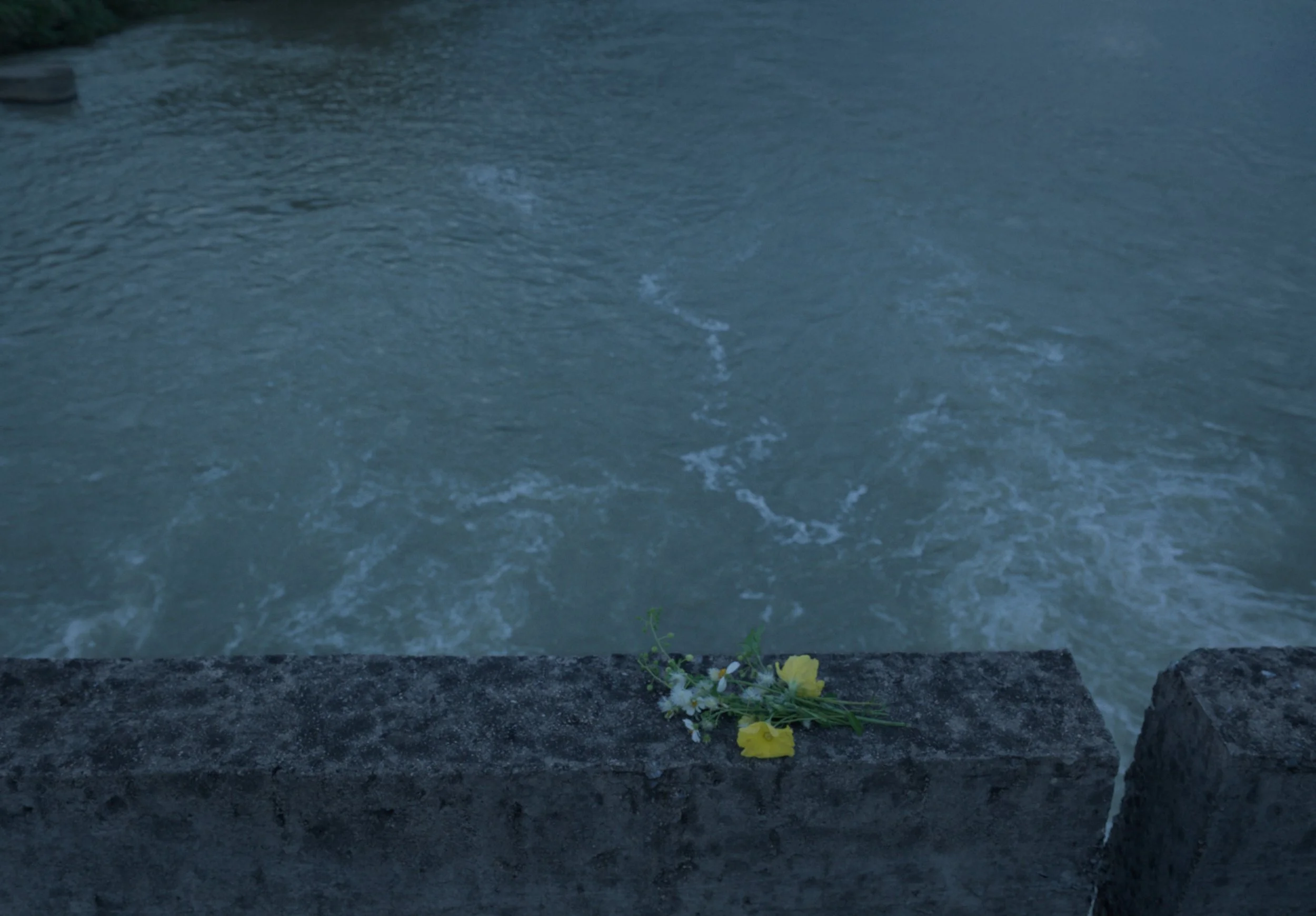 Still 2025-03-30 174015_1.29.1.JPG