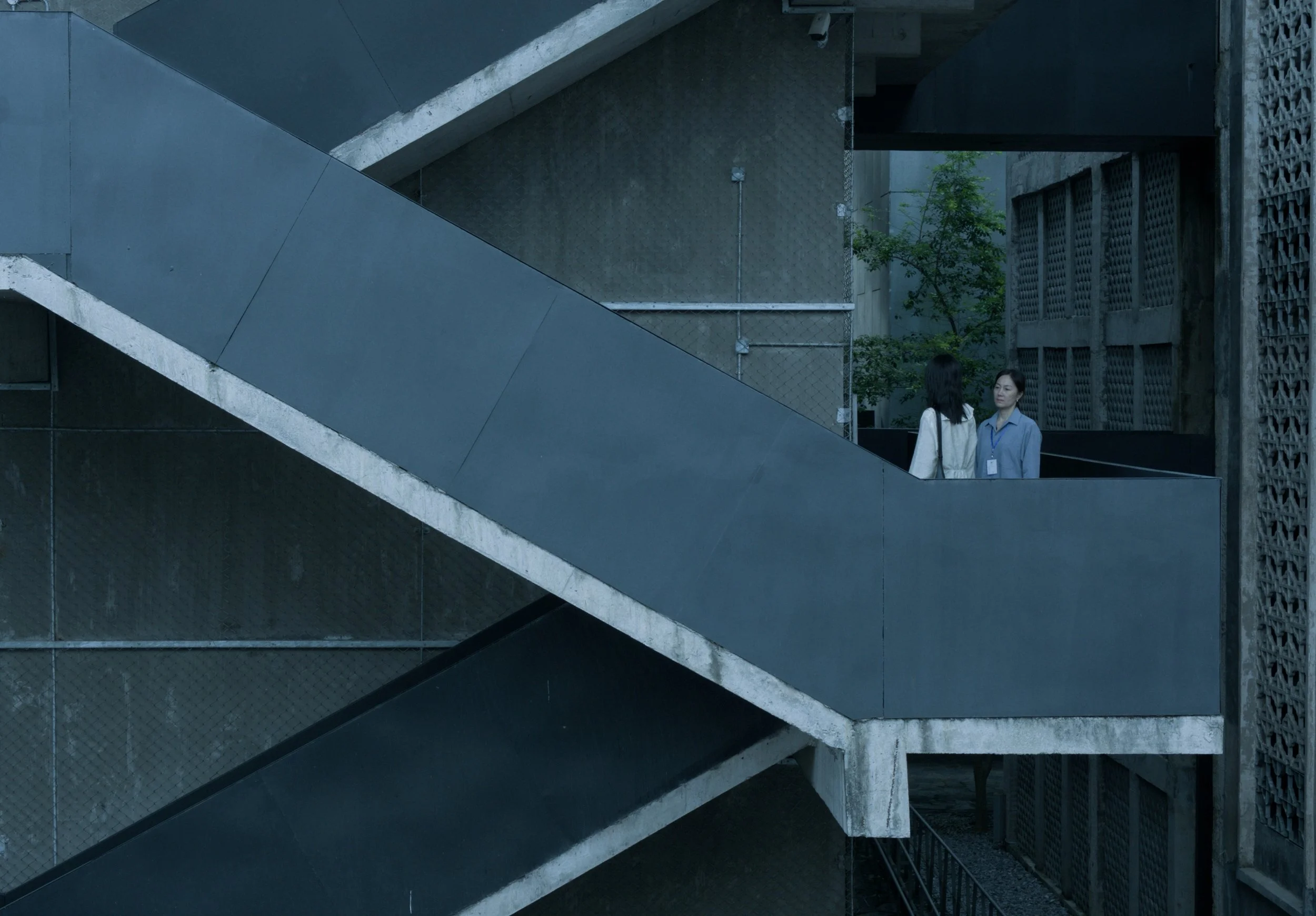 Still 2025-03-30 174015_1.39.1.JPG