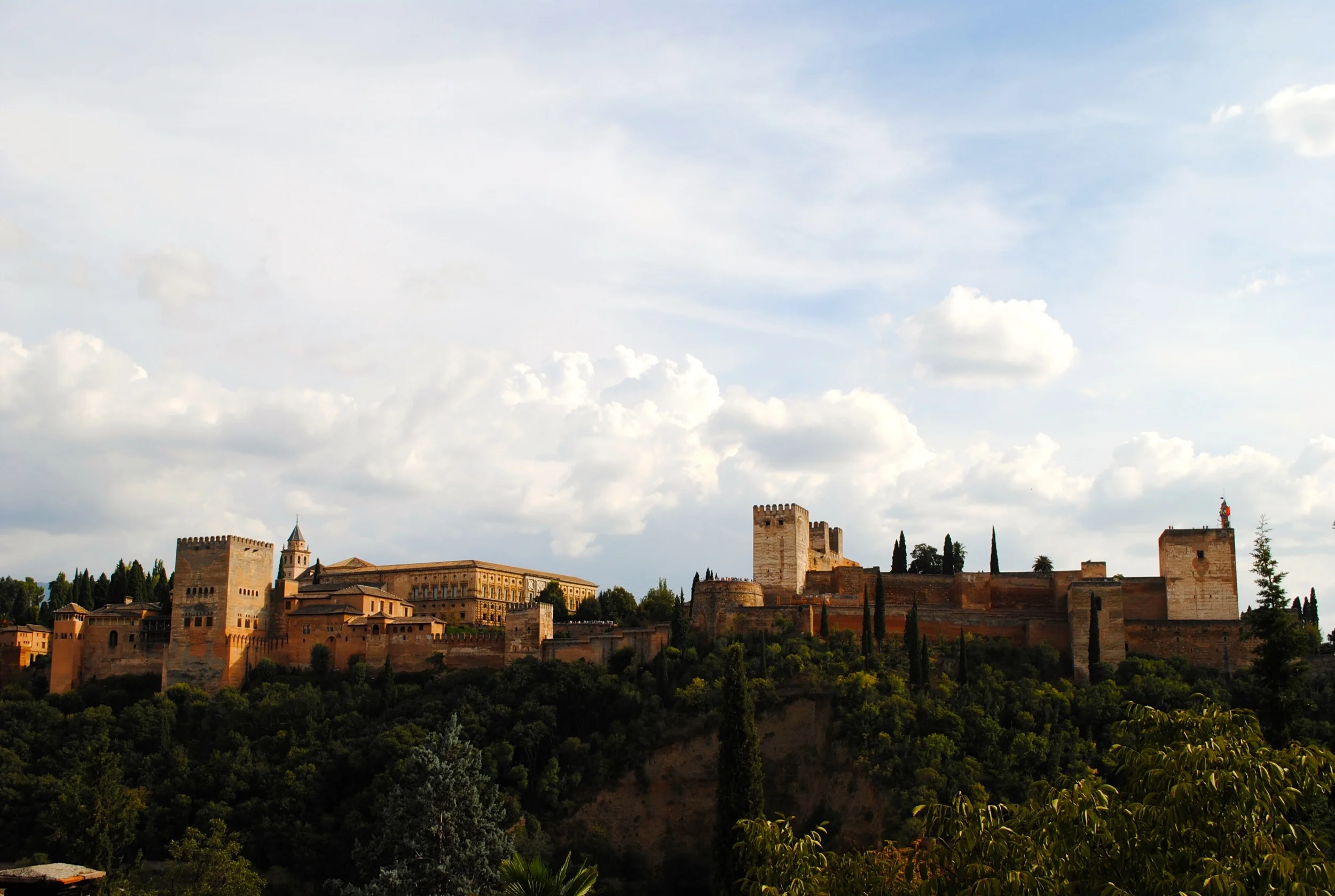 DSC_0601.JPG