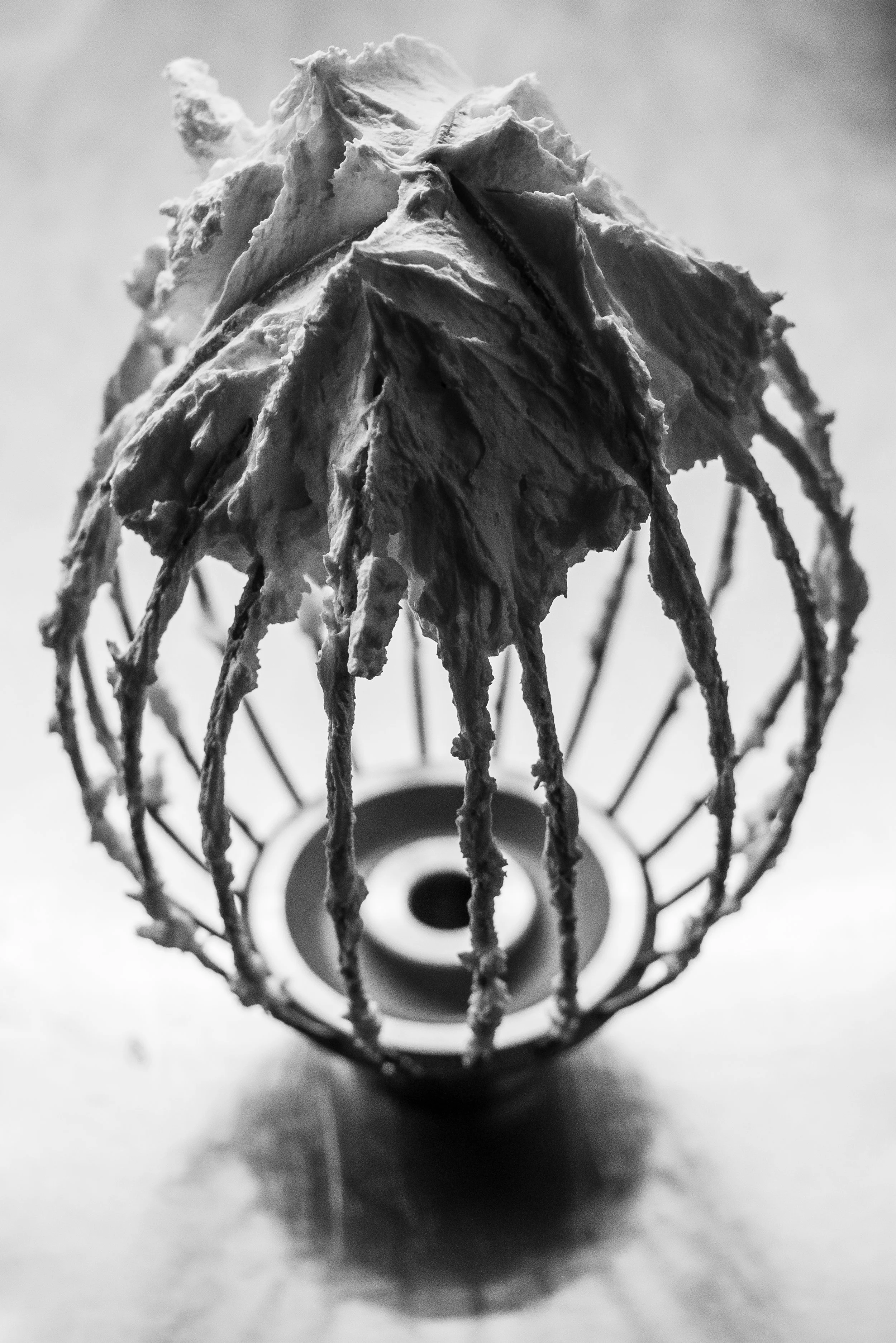 21_ott_03.JPG