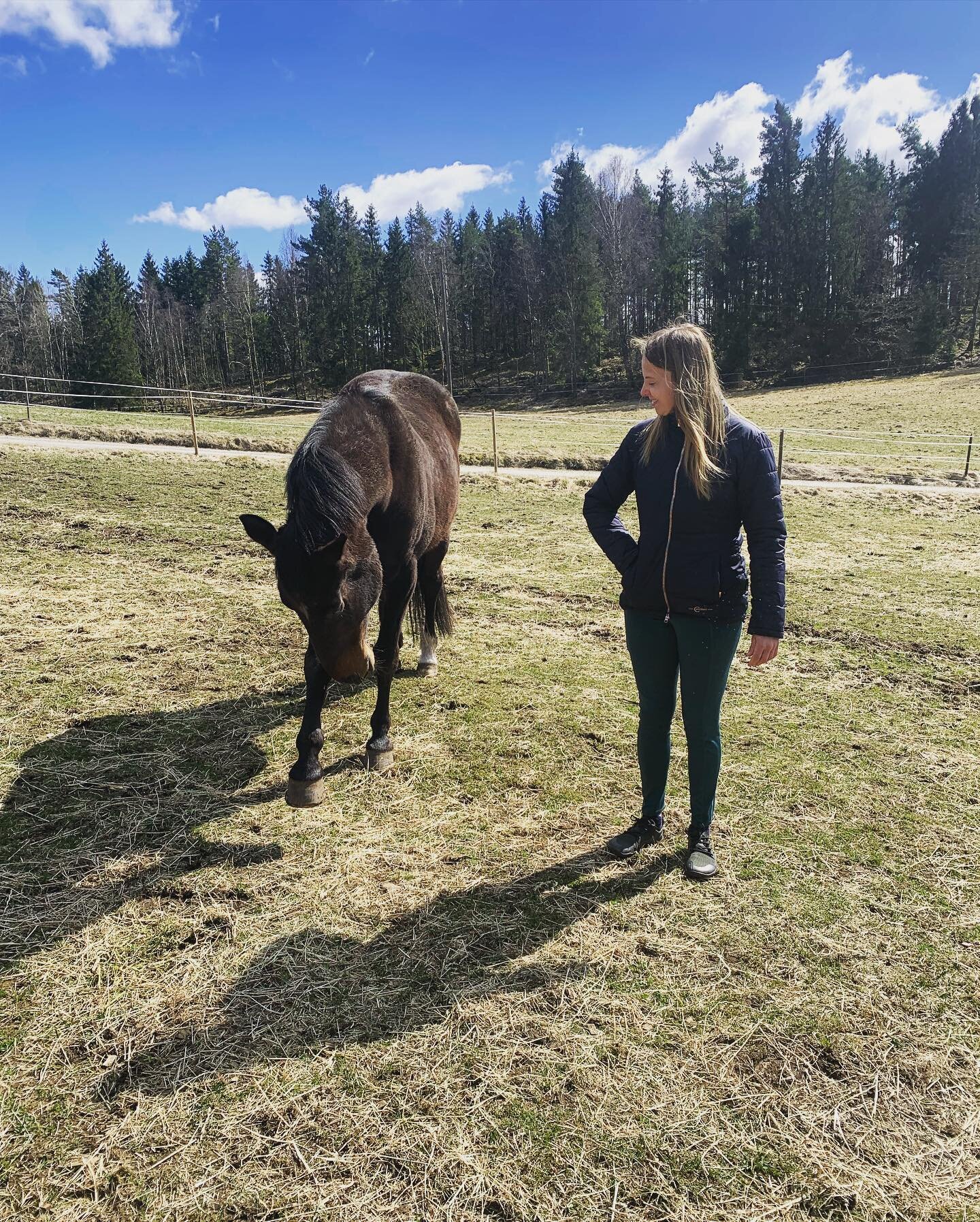 Suddenly, we were brave enough to explore much further away from the barn than we&rsquo;ve ever done since we moved here in august last year. 

Suddenly, Rex showed off movements I didn&rsquo;t know he could do. 

Suddenly, barn chores were super eas