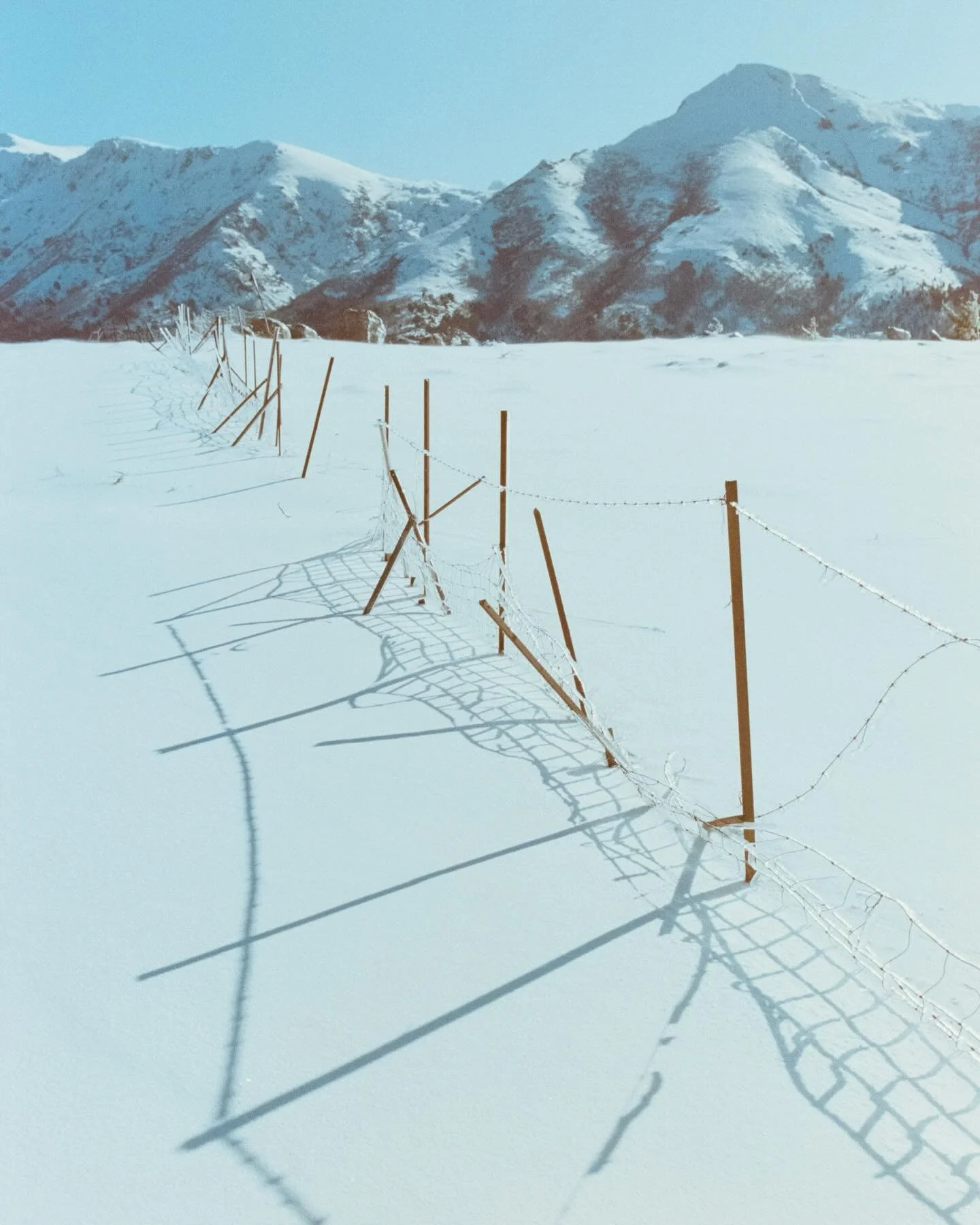 Paese biancu

#filmphotography #invernu #nioluzonalibera #portra160vc