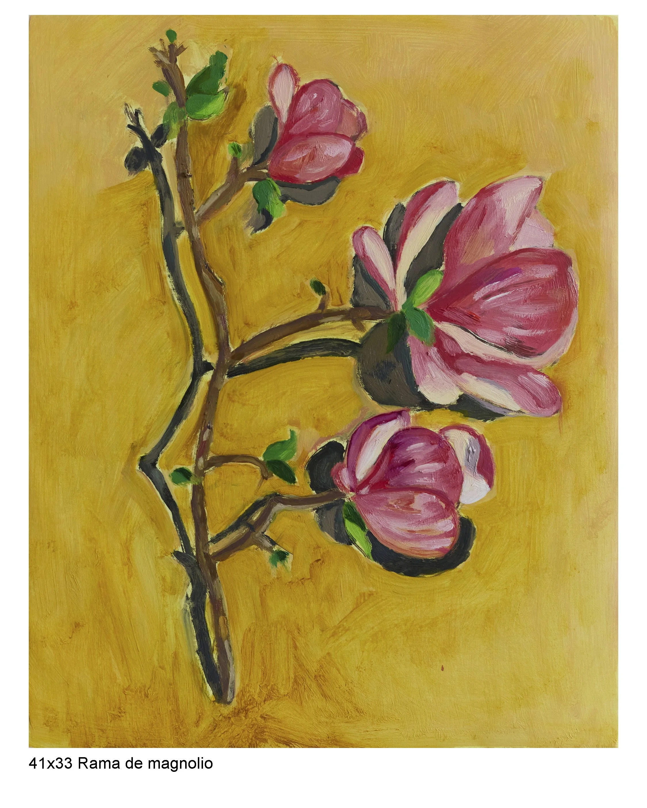 RAMA DE MAGNOLIO.jpg