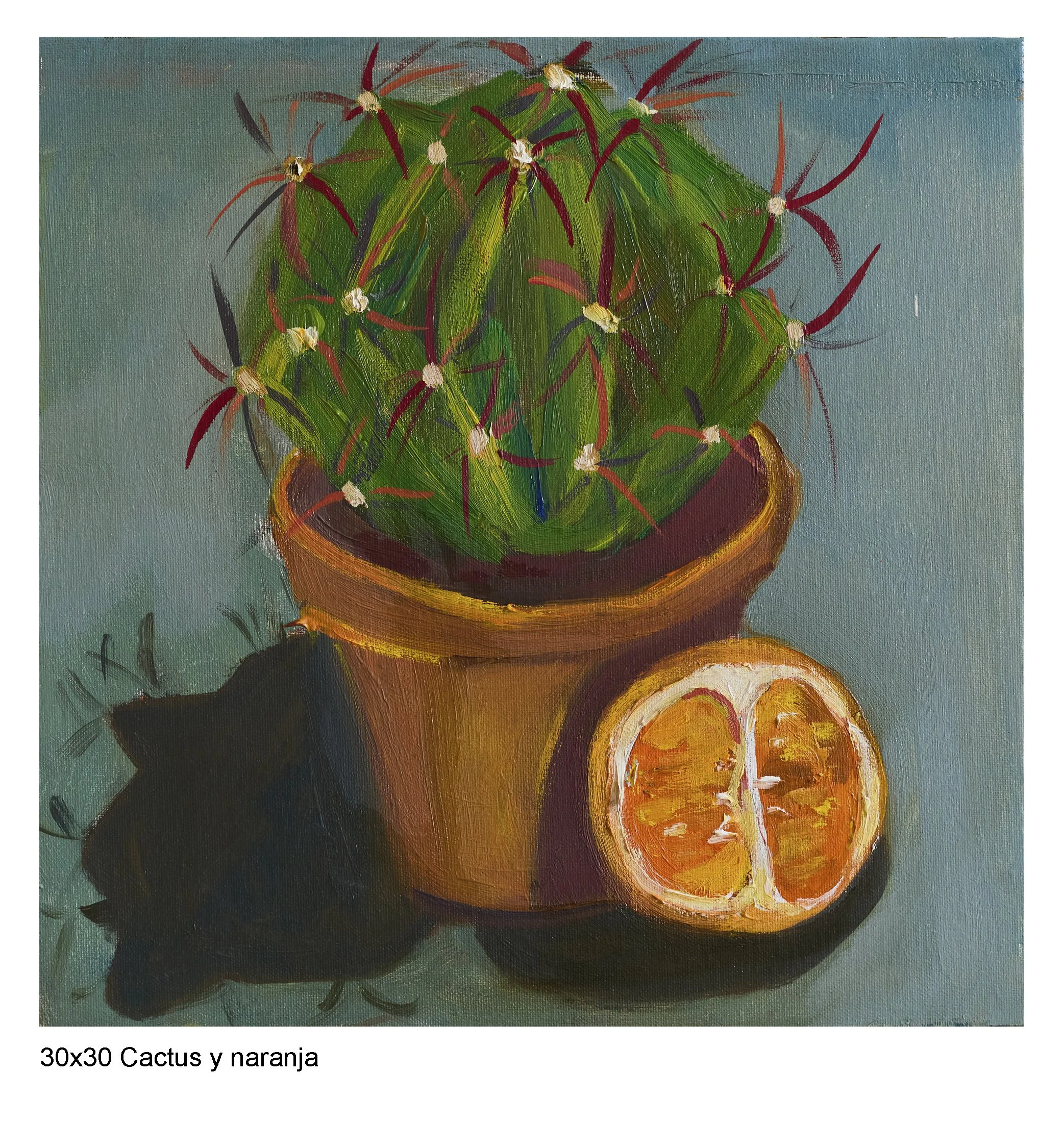 Cactus y naranja.jpg