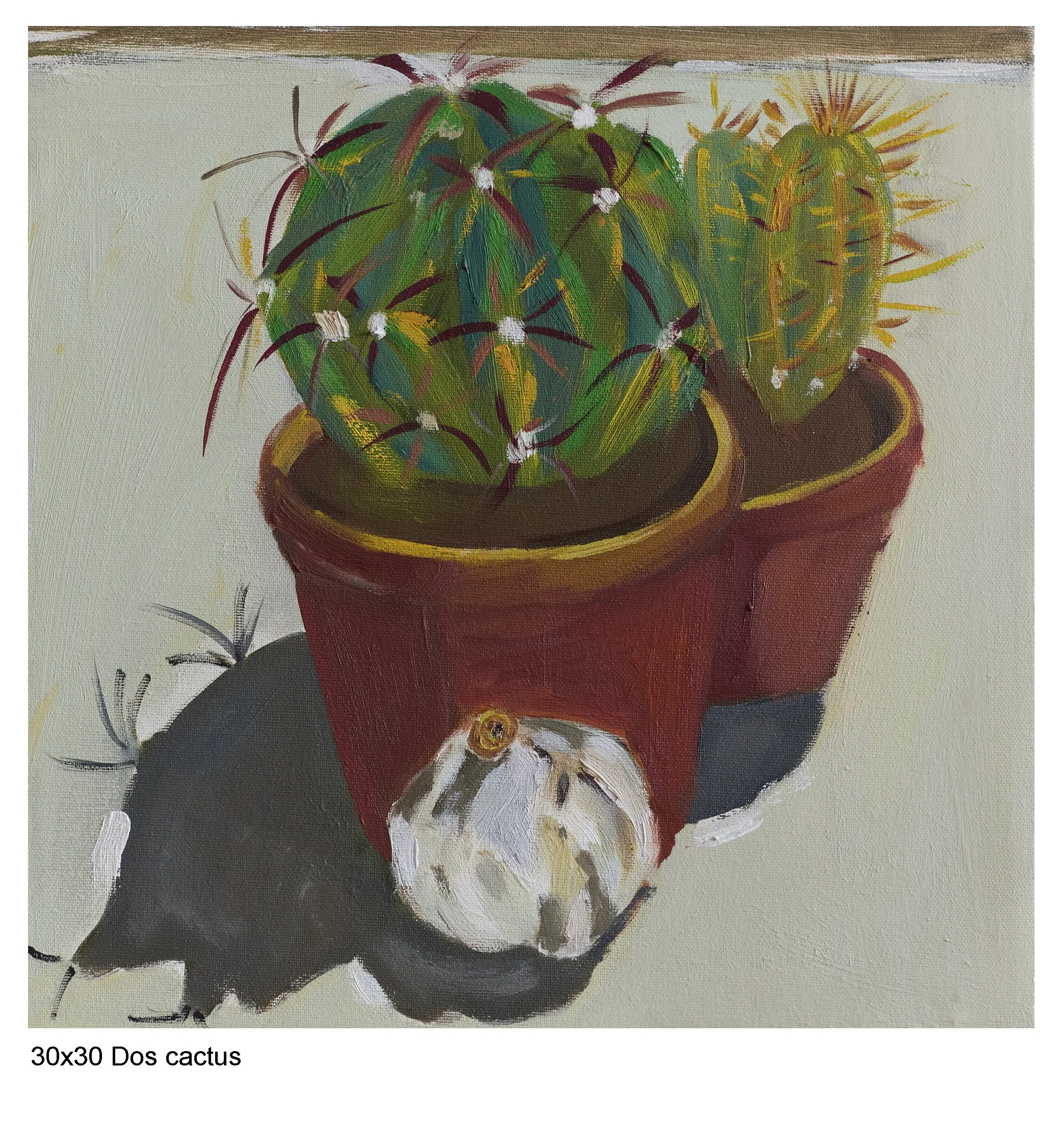 Dos cactus.jpg