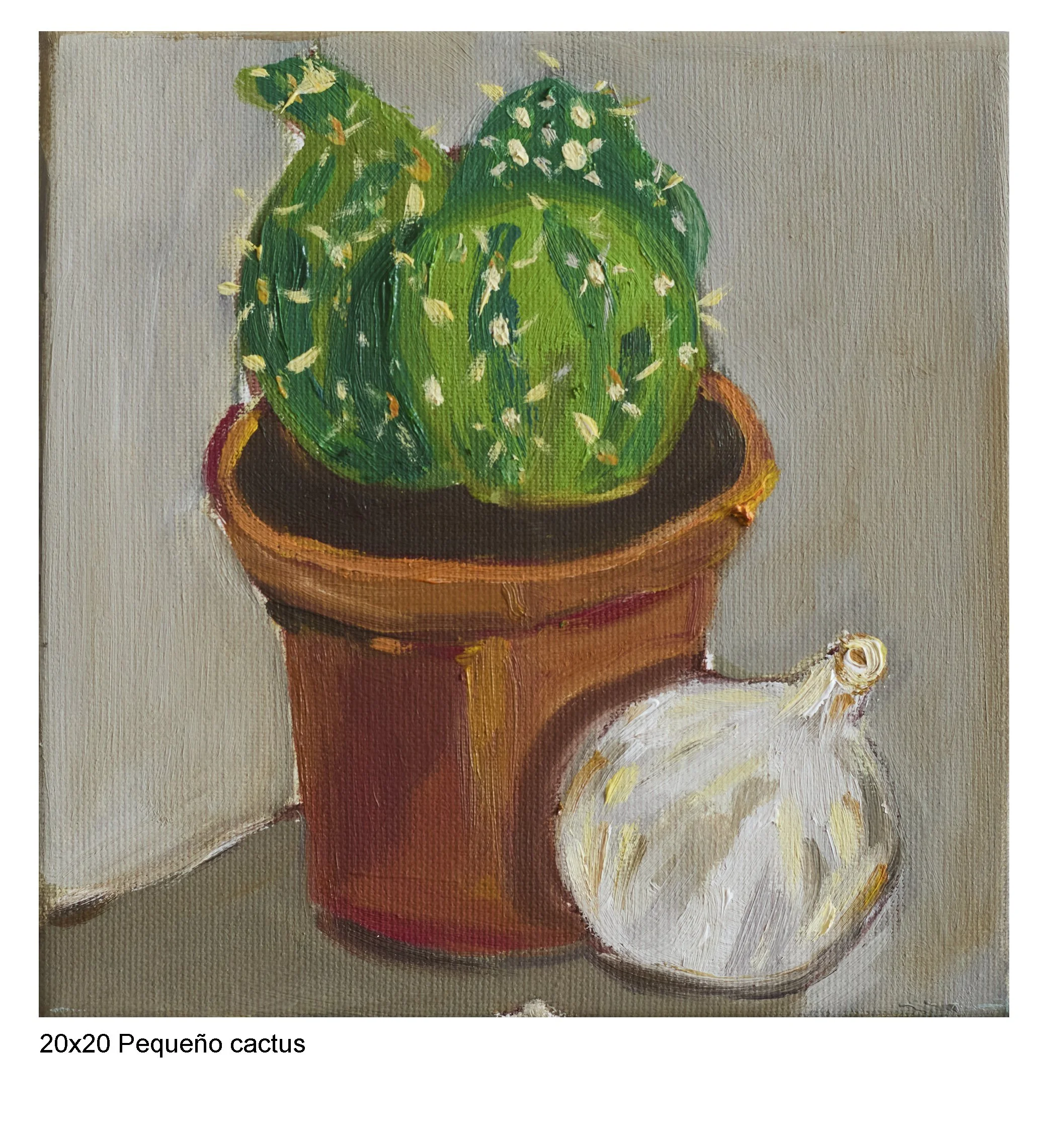 Pequeño cactus.jpg