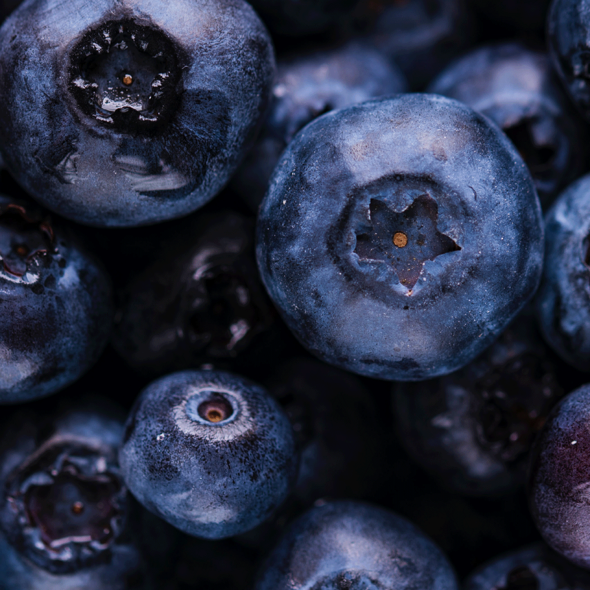 What Are Antioxidants &amp; Is Eating Them Different To Taking Them As Supplements?