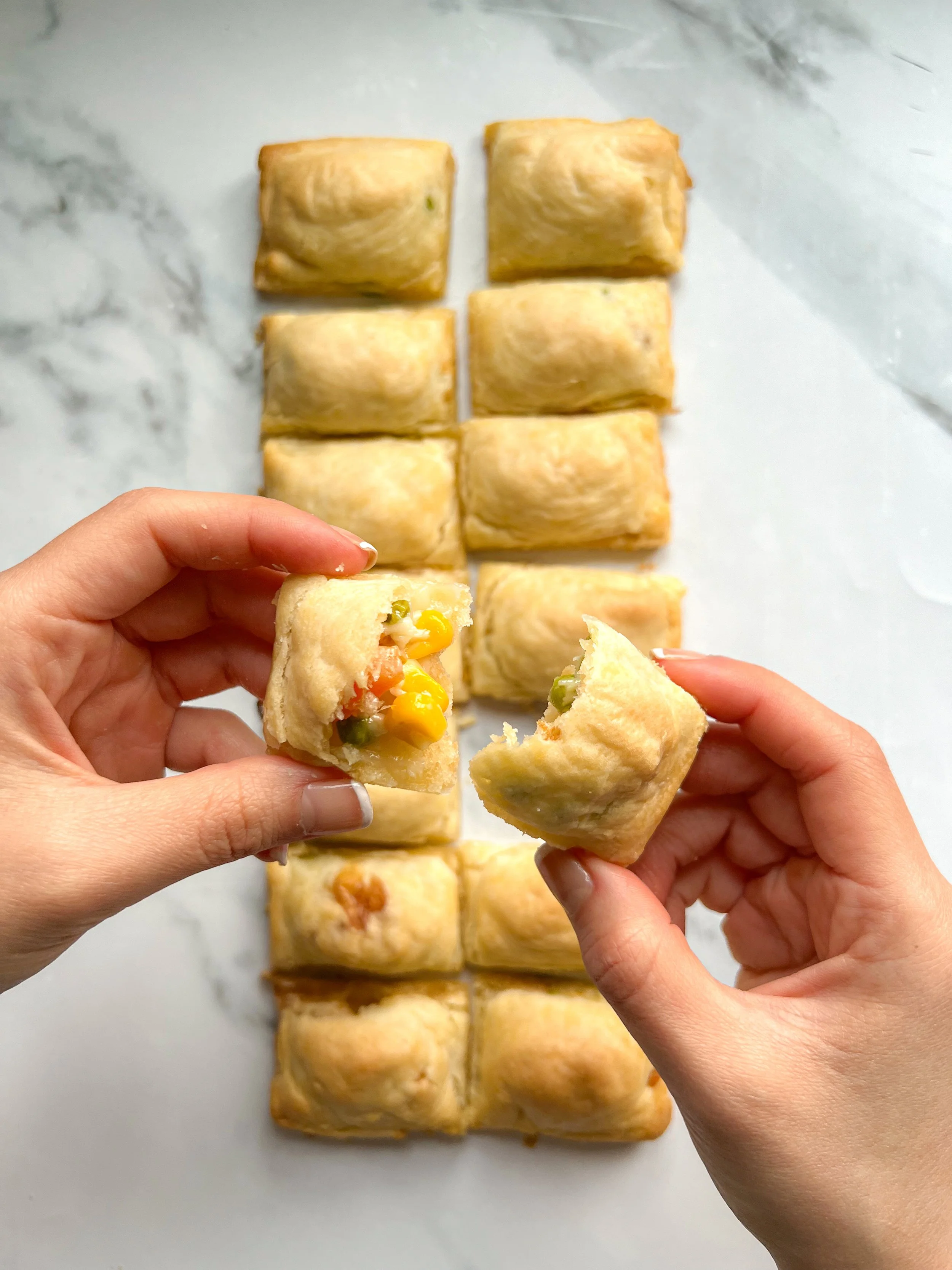 Ice Tray Veggie Parcels 