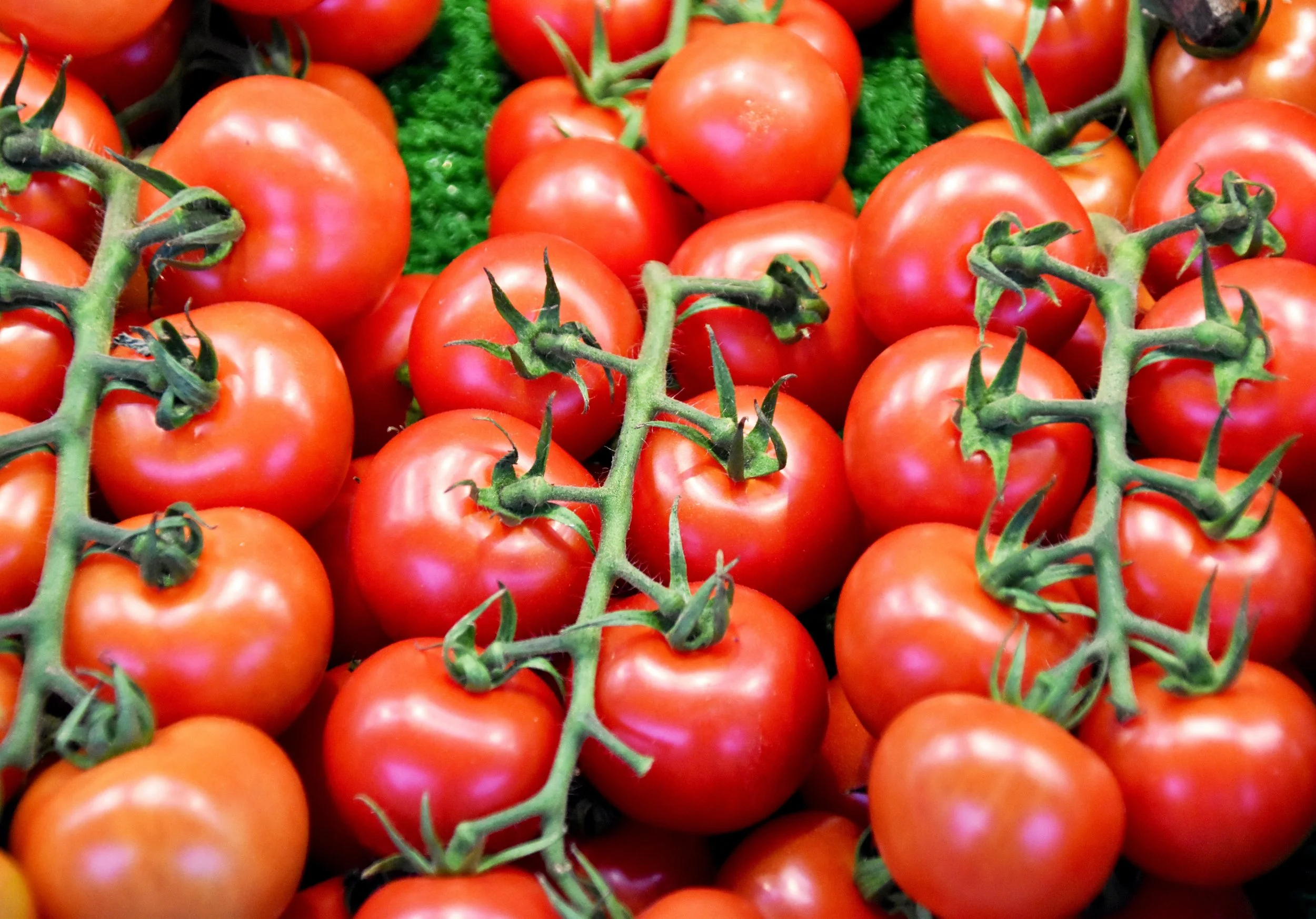 What Is Lycopene?