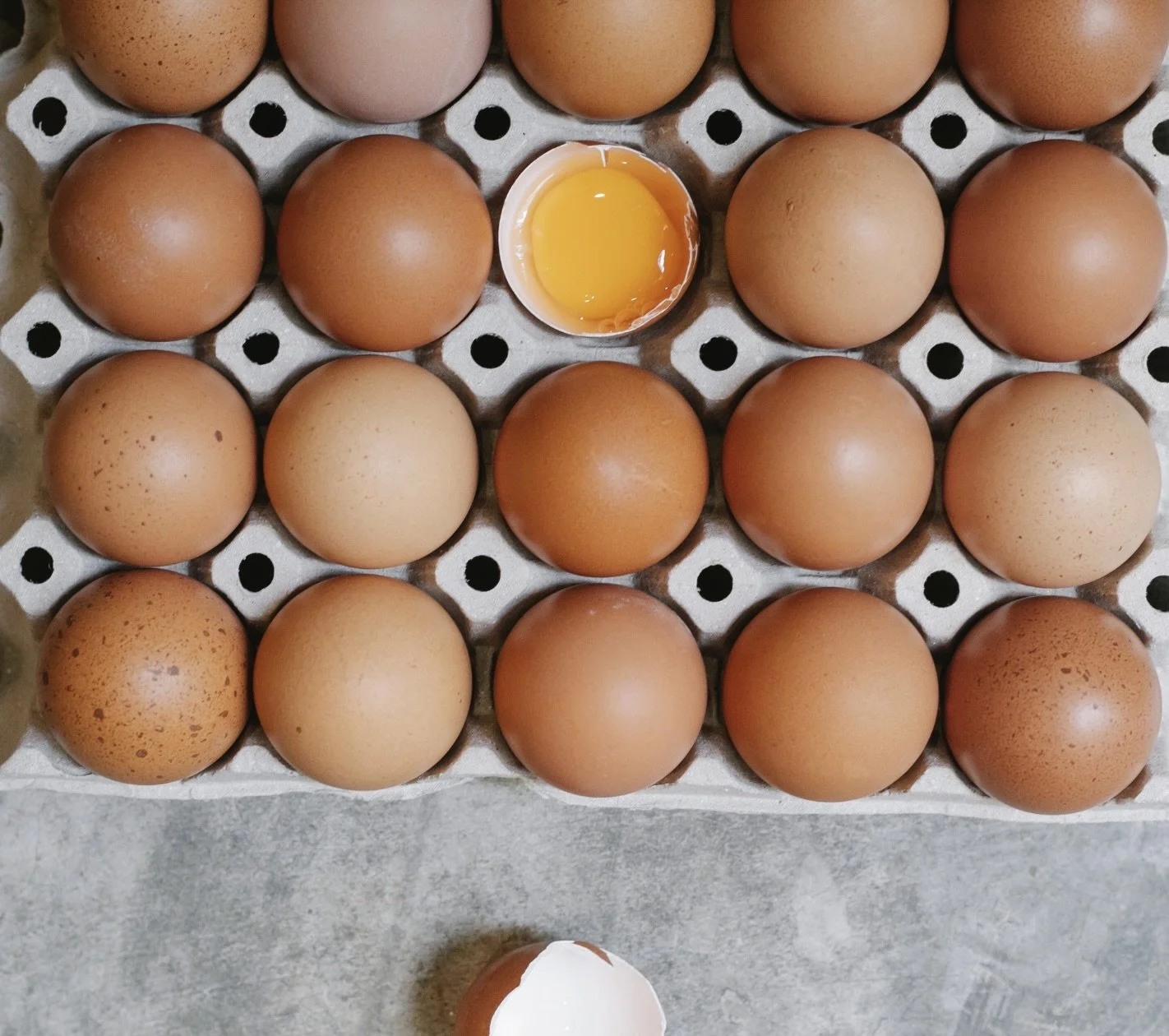 Nutrition Focus: The Humble Egg