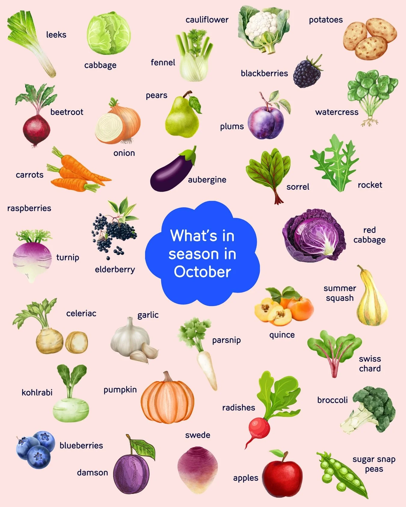 🍁 Autumn is here, &amp; so is the season of hearty, nutrient-packed produce! 🥕🍠

As the weather cools, we see a shift toward root vegetables like carrots, parsnips, beetroot, turnips, &amp; potatoes, plus hearty stars like pumpkins, squash, and le