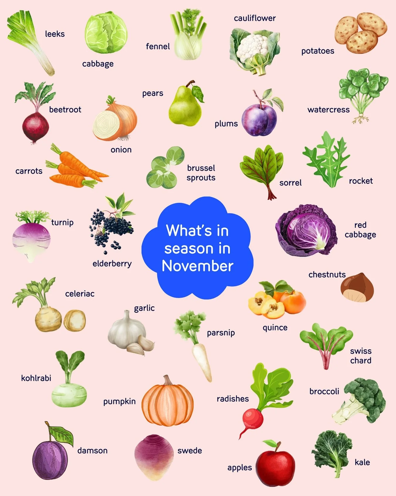 We&rsquo;re into the darker months of the year, with crisp air, and an abundance of comforting, earthy produce. Think parsnips, potatoes, celeriac, turnips, Jerusalem artichokes, chestnuts, quince, and kale, all beautifully in season here in the UK ?