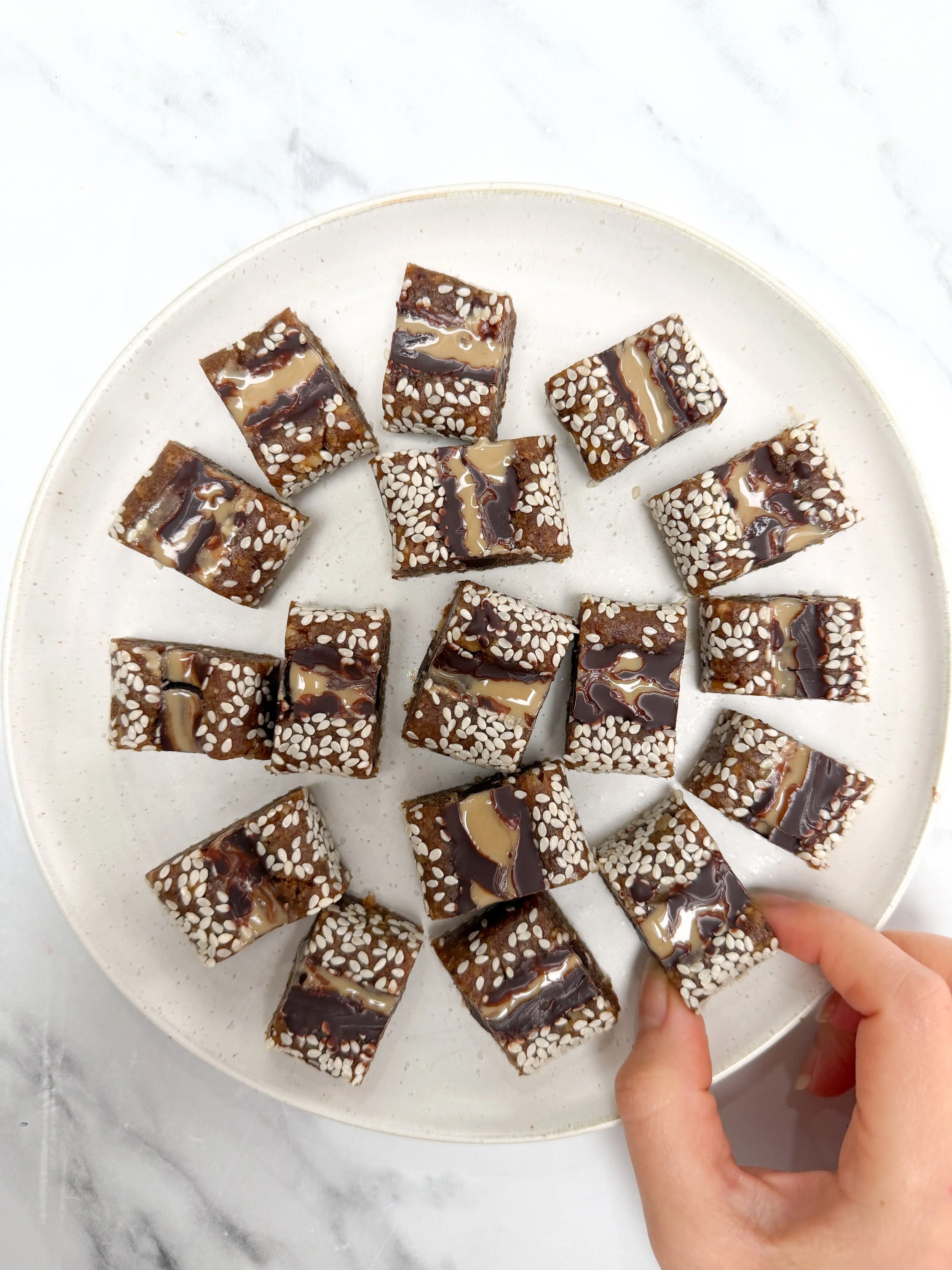 Date Christmas Tree Bark