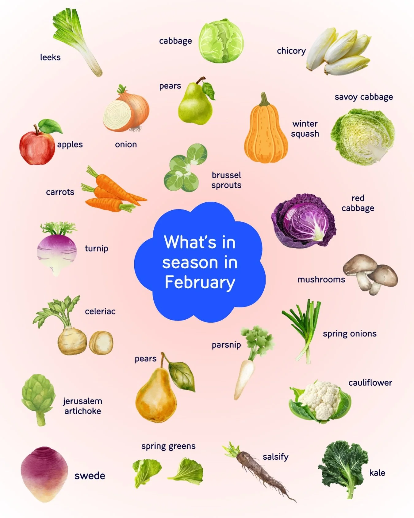 🥕 What&rsquo;s in season in the UK this February? 🍎

Think cabbage, kale, leeks, carrots, parsnips, celeriac, swede, turnips, chicory, cauliflower, Brussels sprouts, Jerusalem artichokes, winter squash&hellip; plus stored apples and pears 🍐

✨ Why