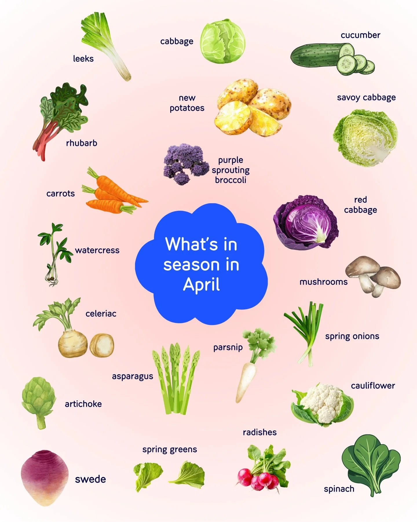 APRIL SEASONAL PICKS 🌿✨ longer days &amp; a fresh wave of spring produce

As we move into April, we start to see a shift, from the heartier winter veg to brighter, more vibrant spring options 🌸

Think asparagus, watercress, spring onions and radish