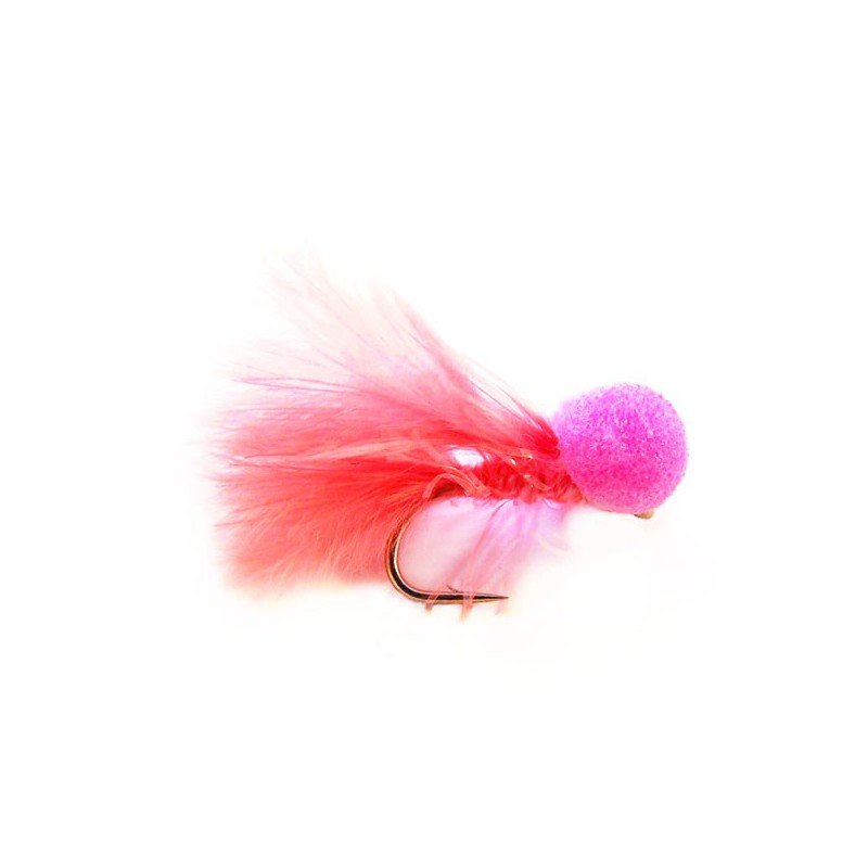 BO107coral-straggle-booby.jpg