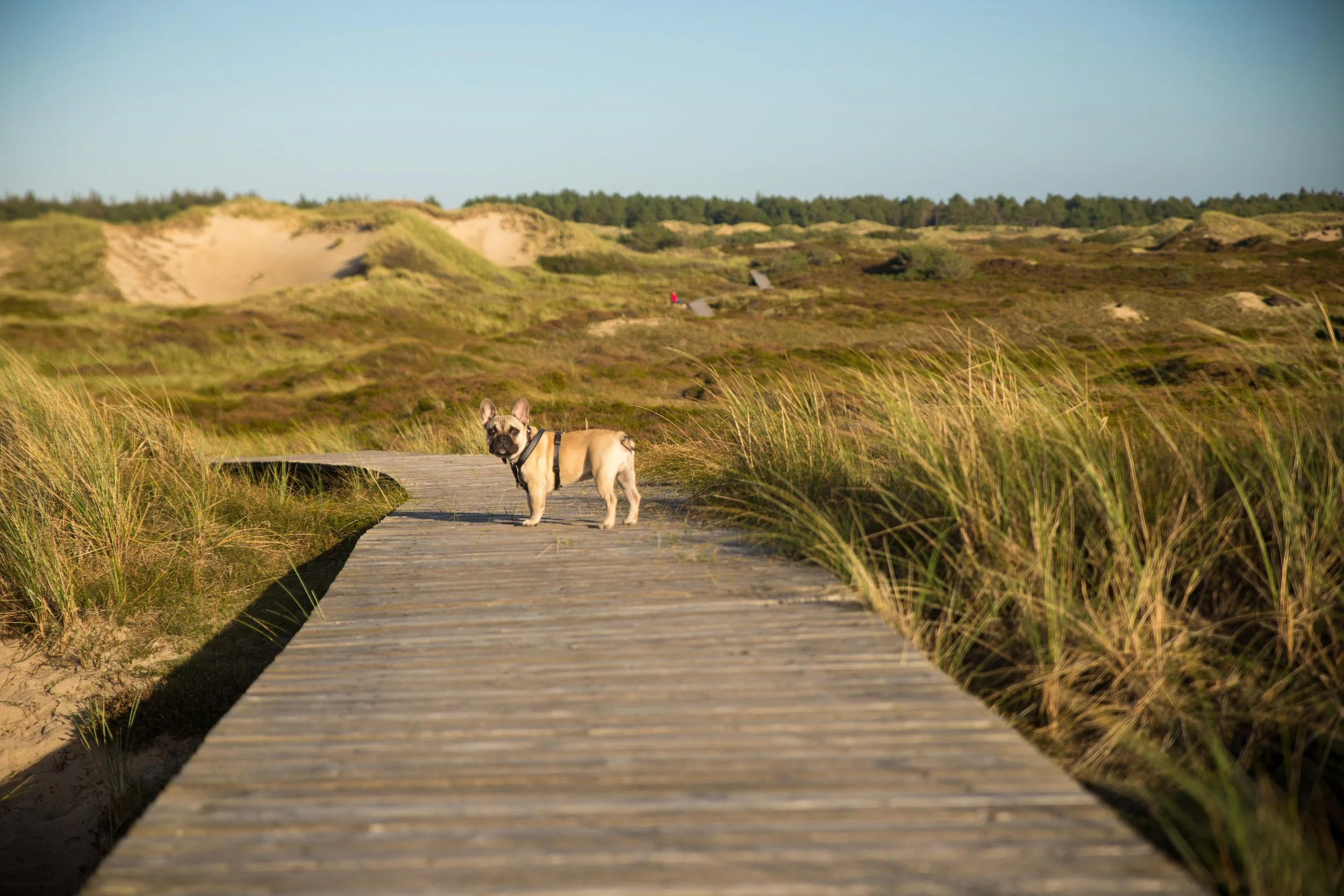AMRUM2017-69.jpg