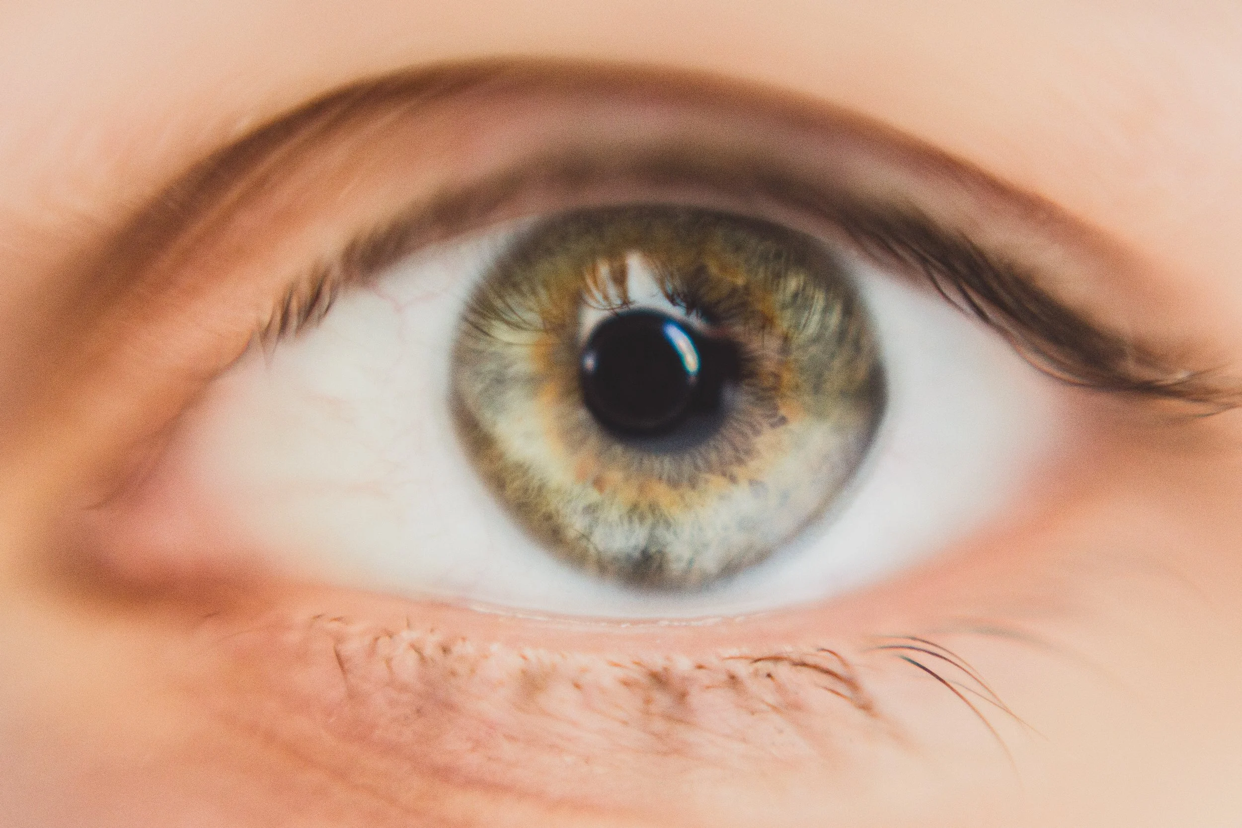 Cha - Cha - Cha - Changes