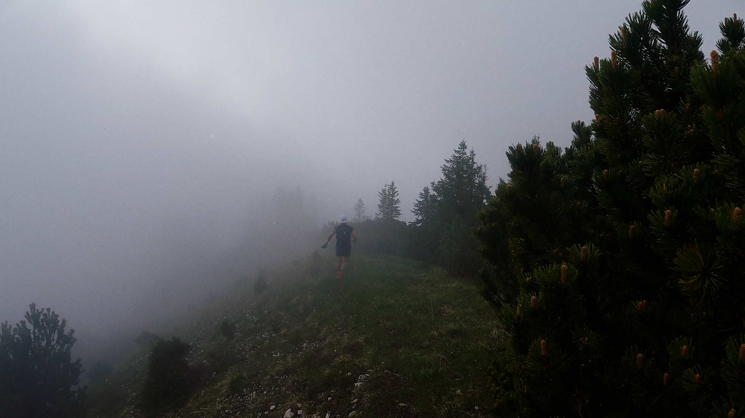 Bildschirmfoto 2024-01-18 um 11.31.00.png