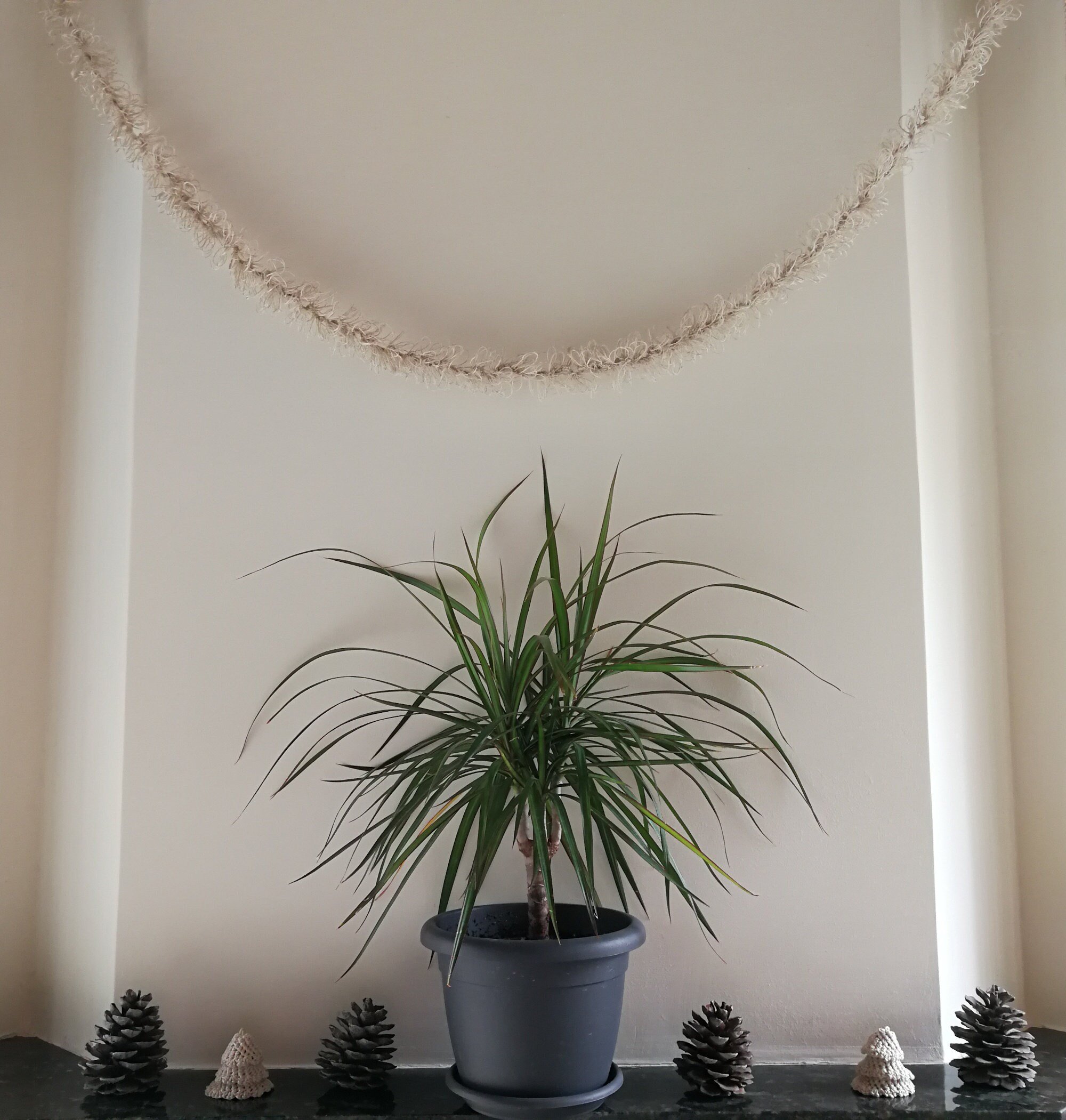 https://i.etsystatic.com/8162165/r/il/e469a1/3427640800/il_fullxfull.3427640800_843a.jpg