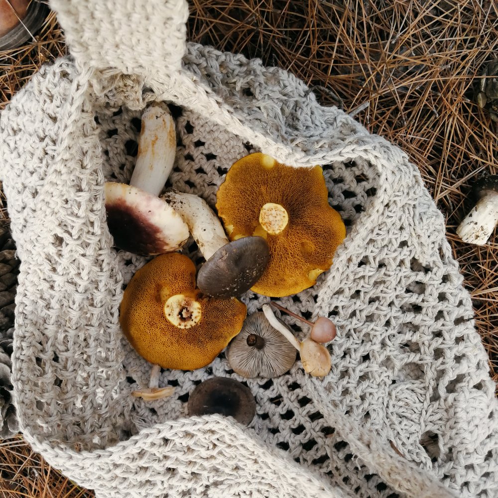 Mushroom Bag Crochet Kit — byGoldenberry