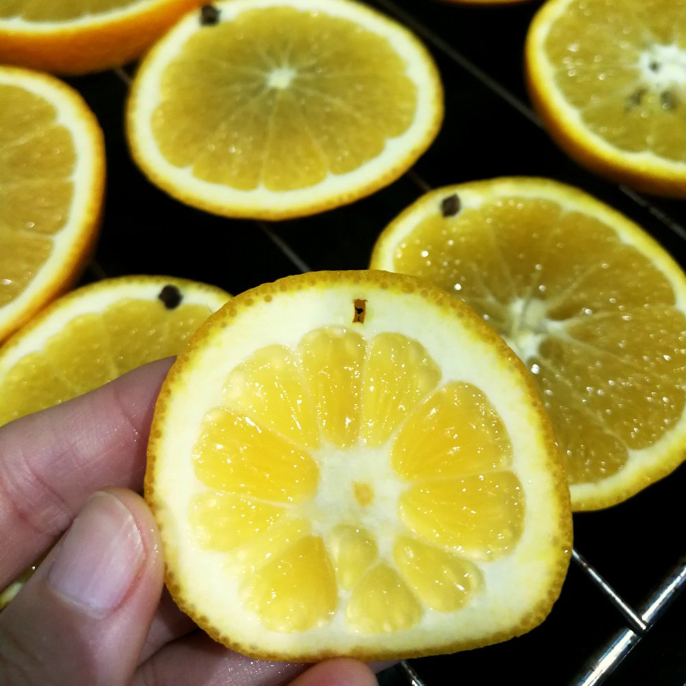 A left hand is holding one orange slice up to the camera and it has a small hole in the pith at the top. In the background there are other slices placed on a metal oven rack ontop of a black oven tray.