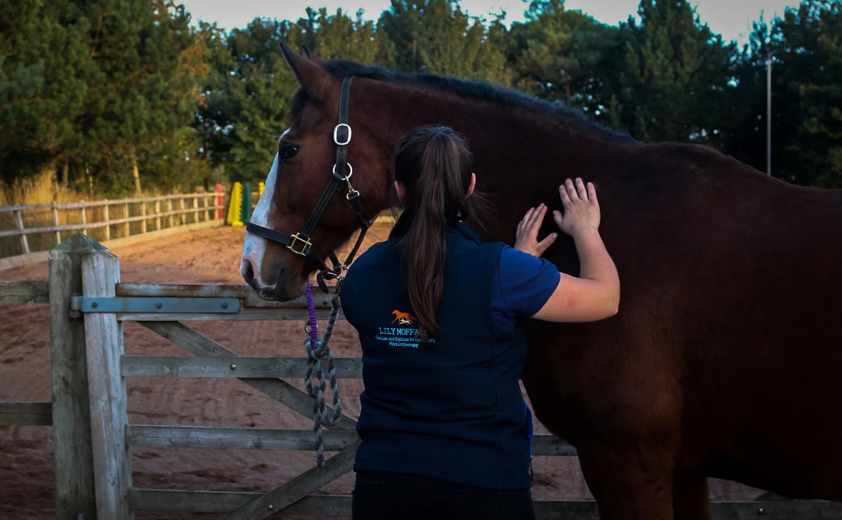 A woman in a navy shirt with a logo, standing outside near a wooden fence, reaching out to pet a large brown horse with a white stripe on its face. The horse is wearing a black halter and is chewing or resting its head. In the background, there are trees and a dirt riding area.