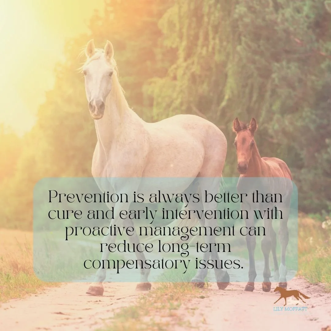 Prevention is always better than cure and early intervention can reduce long-term compensatory issues. 

Lily Moffatt Veterinary Physiotherapy 
www.lilyvetphysiotherapy.com
(+44) 07531639808
lilyvetphysiotherapy@gmail.com