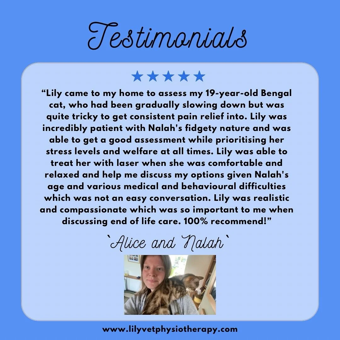 Thank you Alice for this wonderful review. 🐱🐈
&ldquo;Lily came to my home to assess my 19-year-old Bengal, who had been gradually slowing down but was quite tricky to get consistent pain relief into. Lily was incredibly patient with Nalah&rsquo;s f
