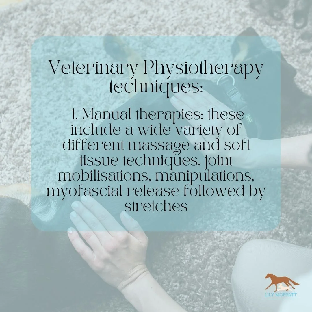What techniques do physiotherapists use?

1. Manual therapies: these include a wide variety of different massage and soft tissue techniques, joint mobilisations or manipulations, myofascial release, stretches etc.