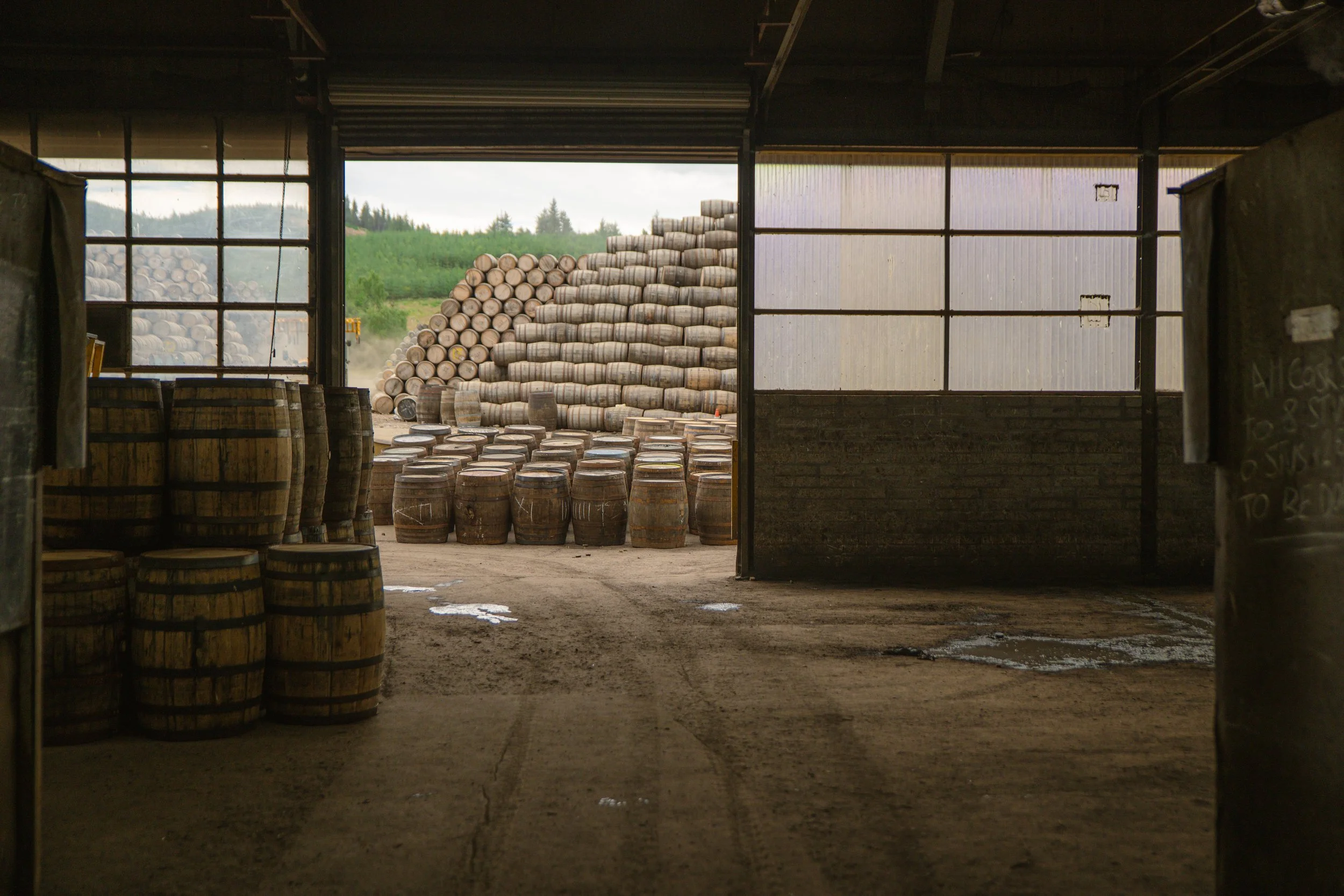 Inside a wine cellar with wooden barrels and stacks of barrels outside visible through open doors.