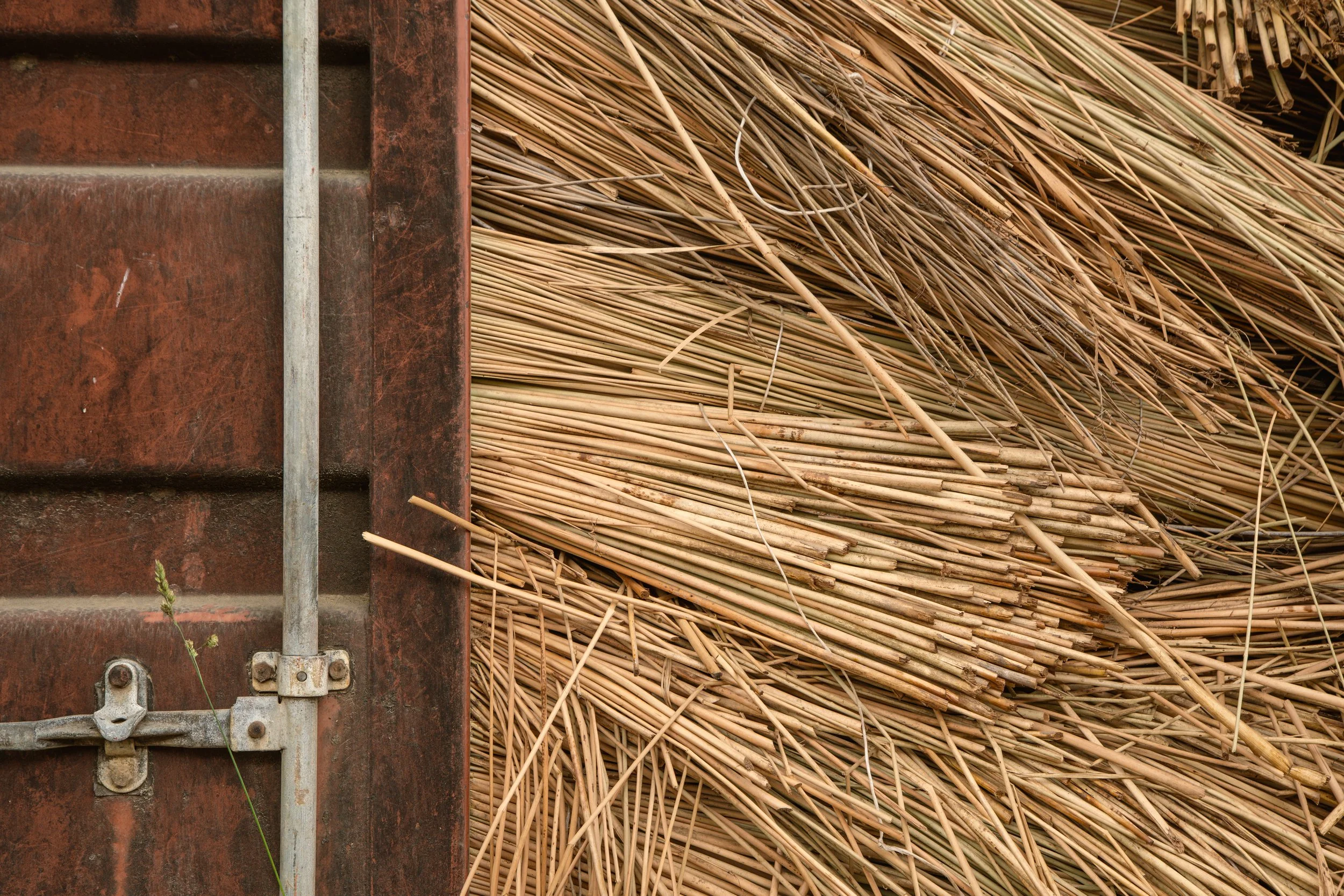 Close-up of a rusty metal door with a latch on the left side, and dried straw or reeds piled on the right side.
