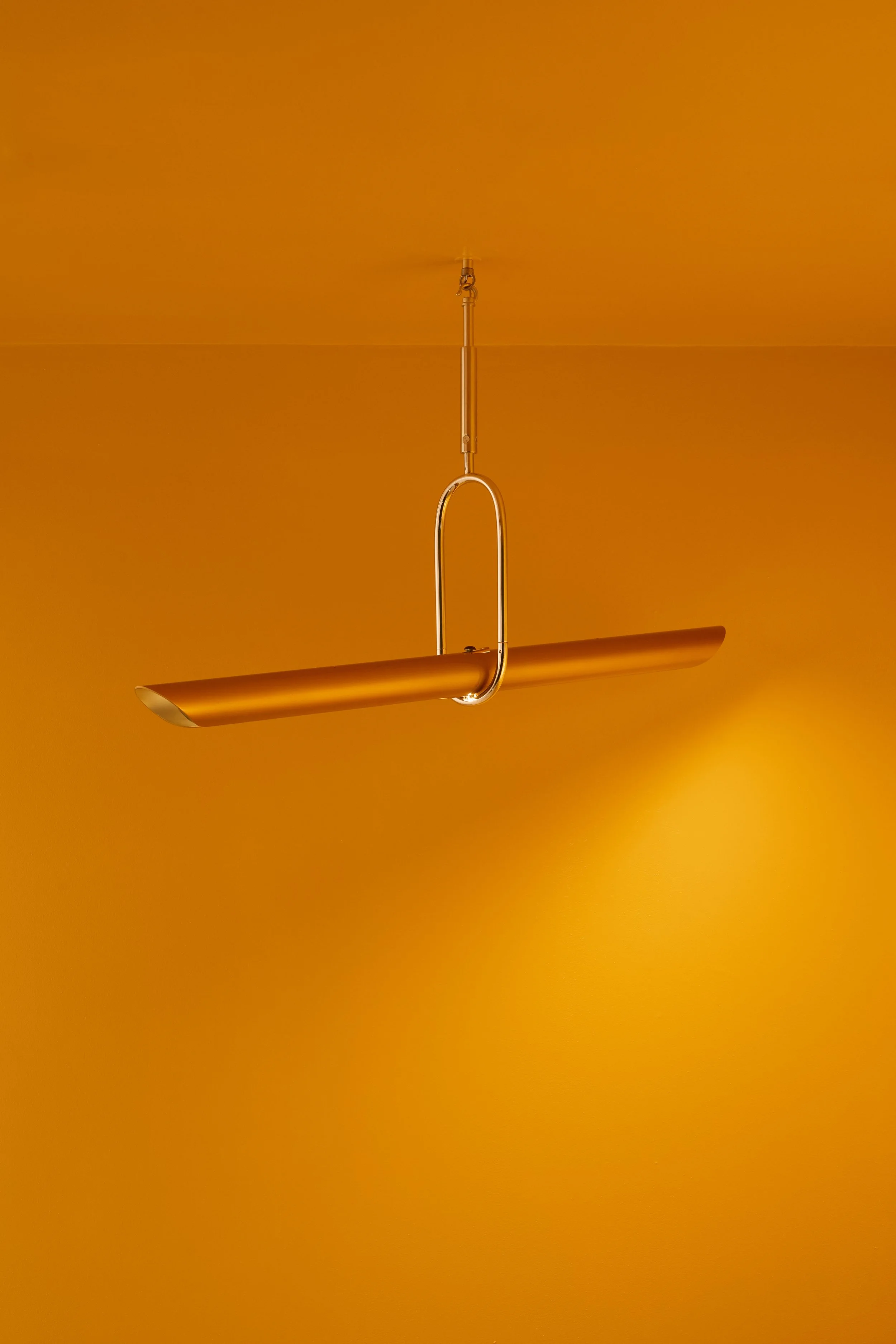 260127_MYDRIAZ_ABRICOT11190 copie.jpg