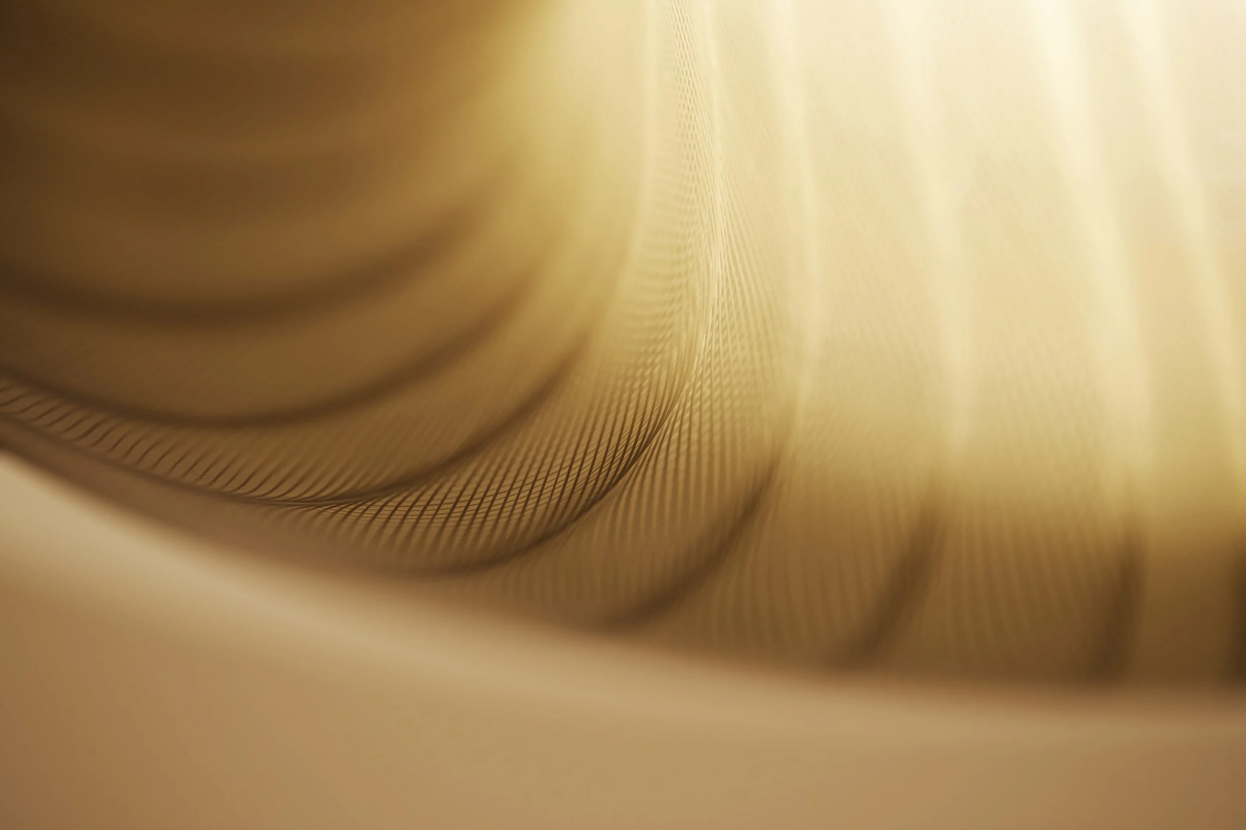 180216_JMW_195 copie.jpg