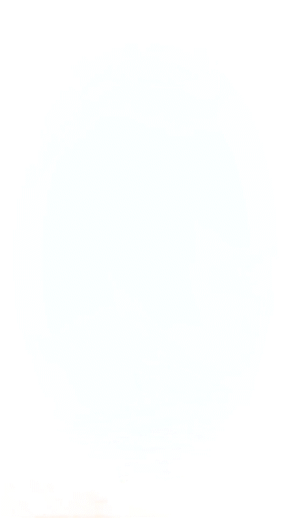NY 2.gif