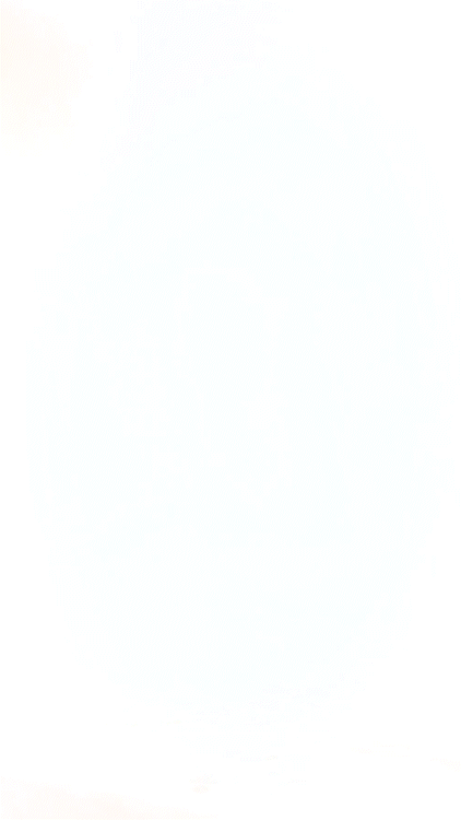 NY 3.gif
