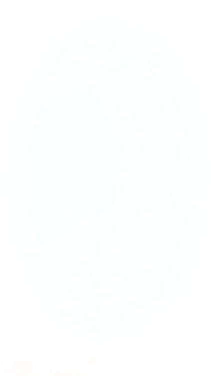 NY 4.gif