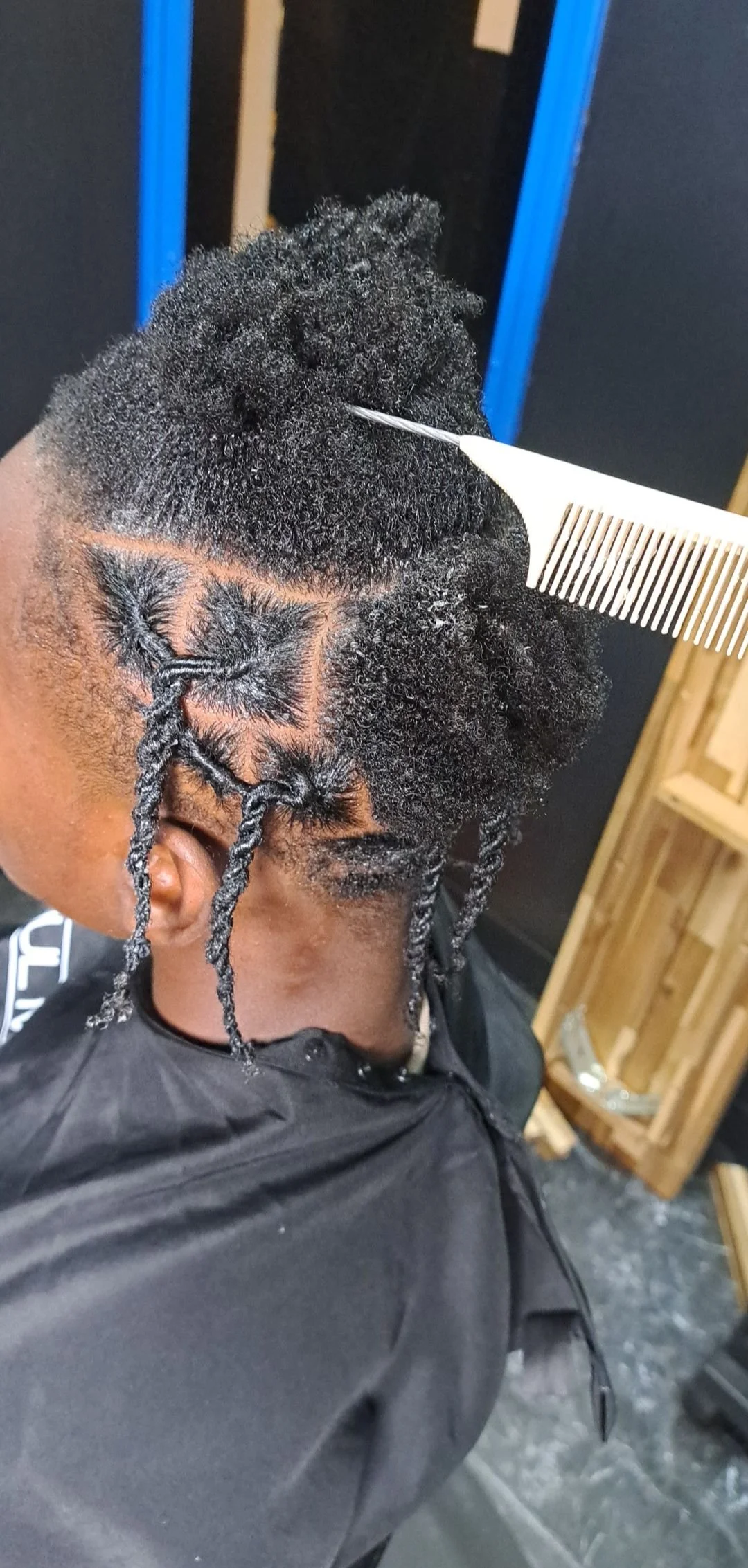 Men's Single Braids or Twists