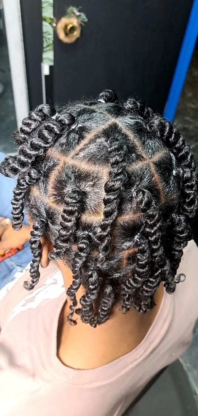 Men's Single Braids and Twists
