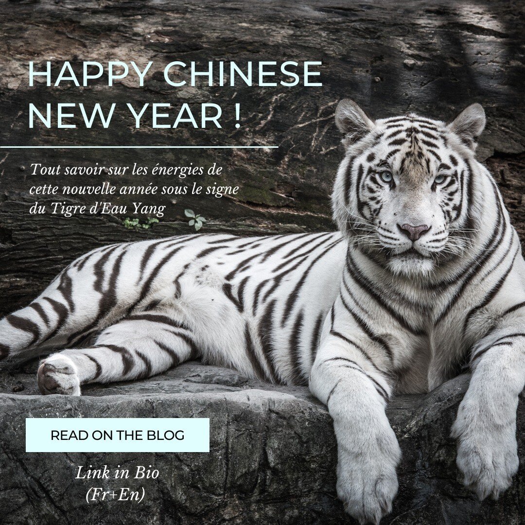 🇫🇷Bienvenue dans l'ann&eacute;e du Tigre d'eau! 👇🏻
Aujourd'hui est une date importante pour tous ceux qui pratiquent le Feng Shui. Pour mieux vous expliquer l'importance du nouvel an chinois en Feng Shui, nous avons r&eacute;dig&eacute; notre pre