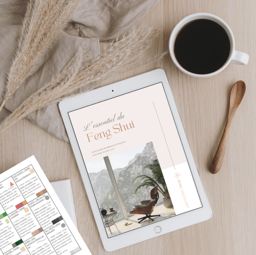 Consultation Design Feng Shui Paris