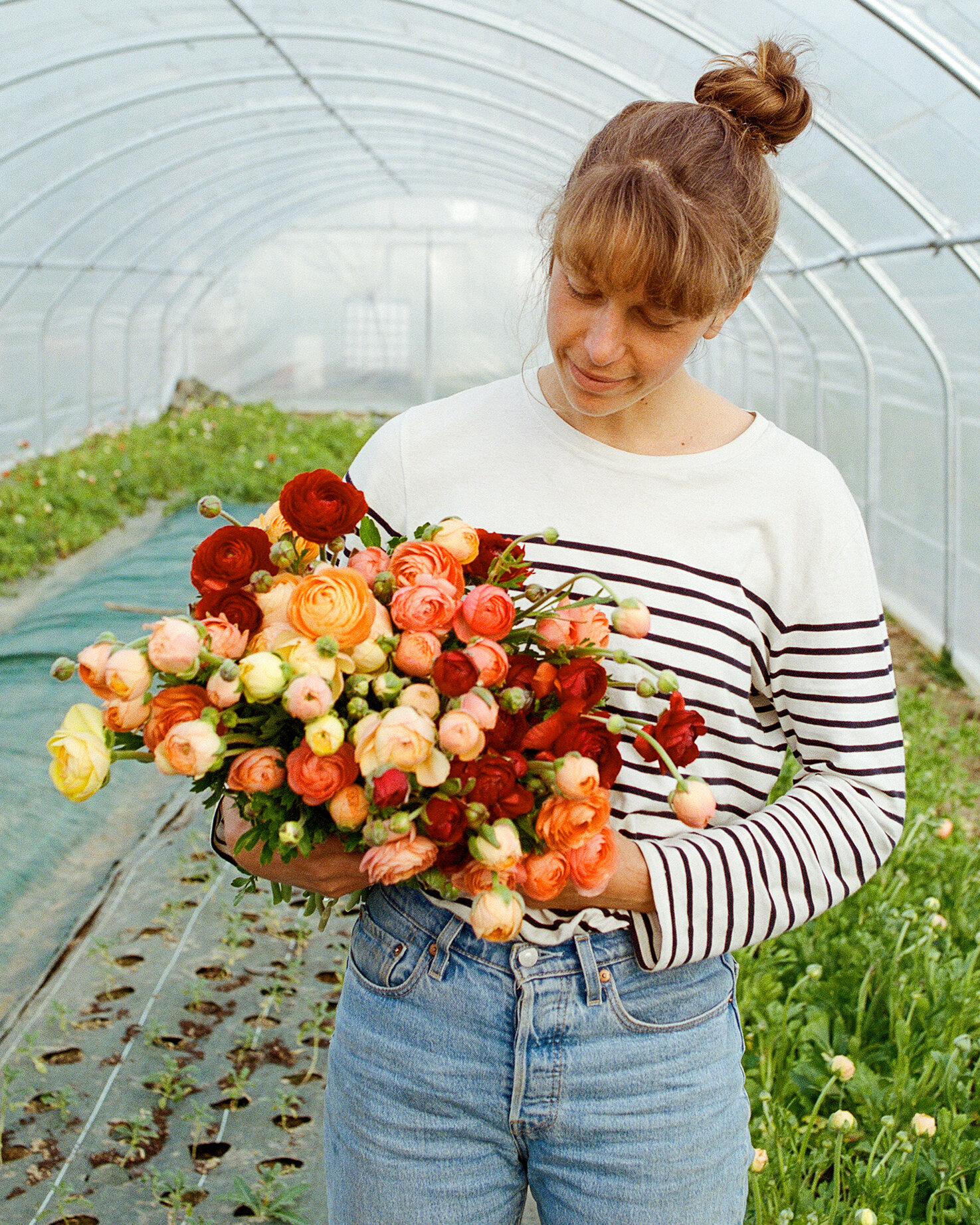 Fleurs d'aquitaine